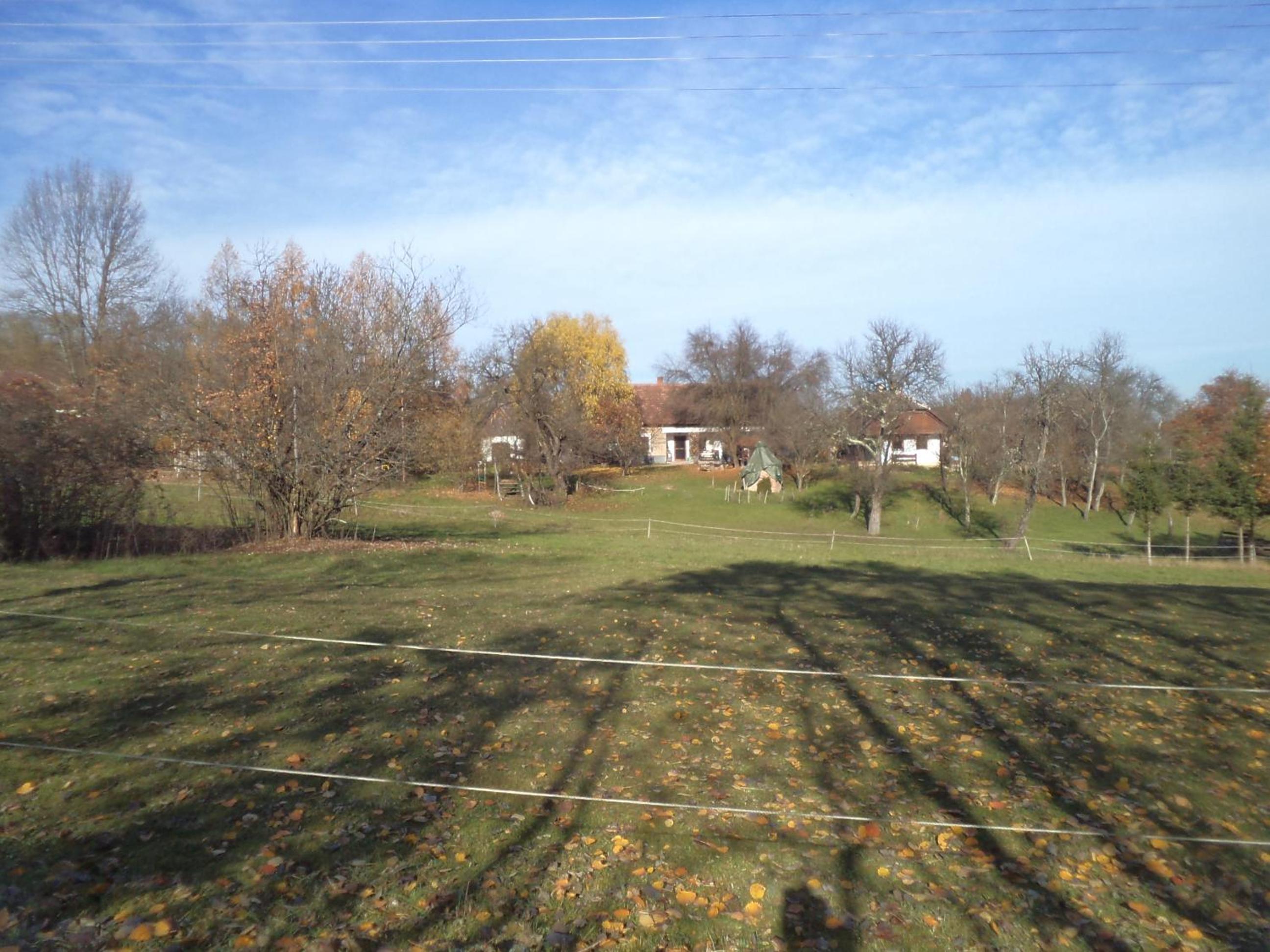 Photo 24