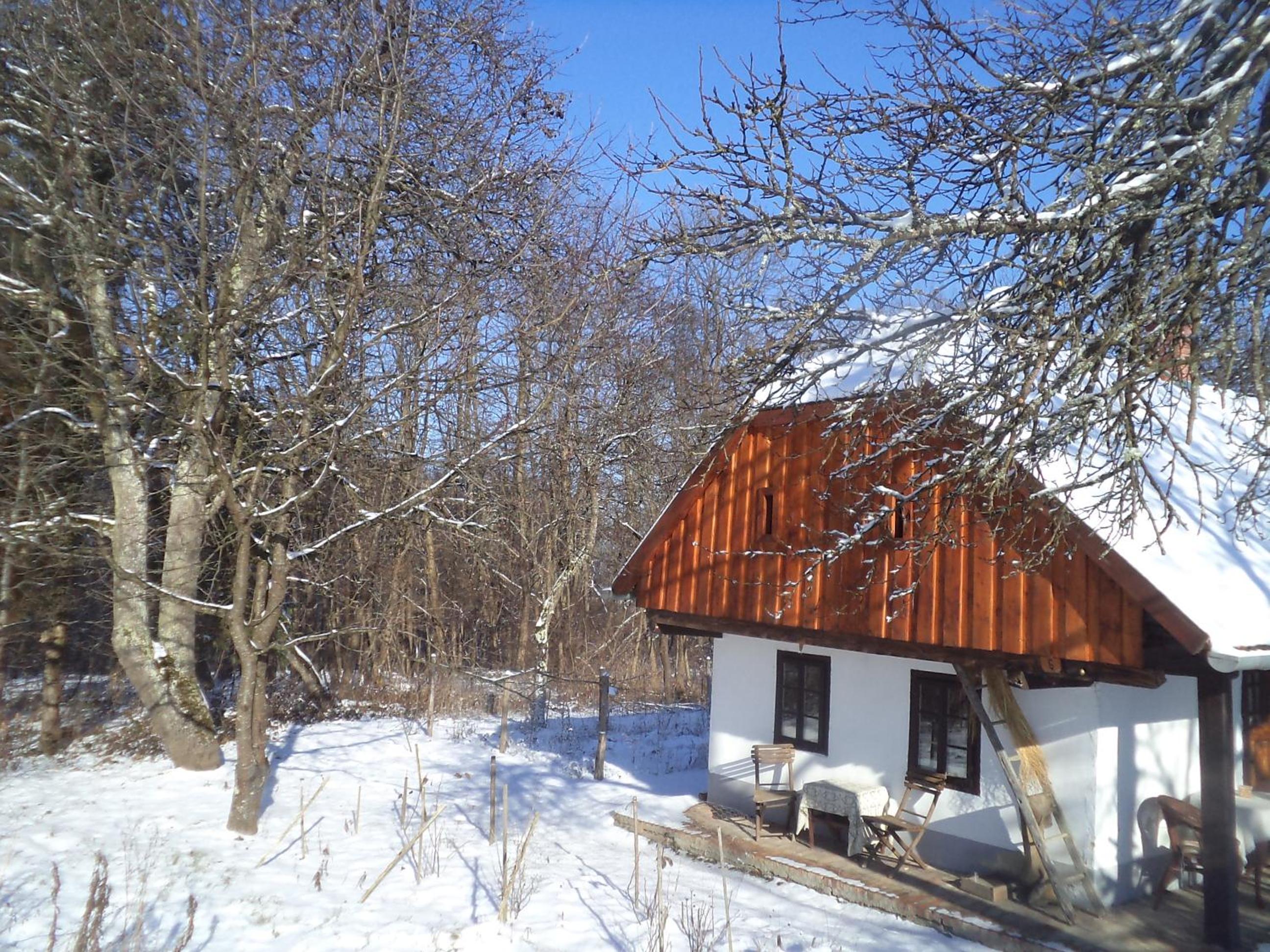 Photo 22