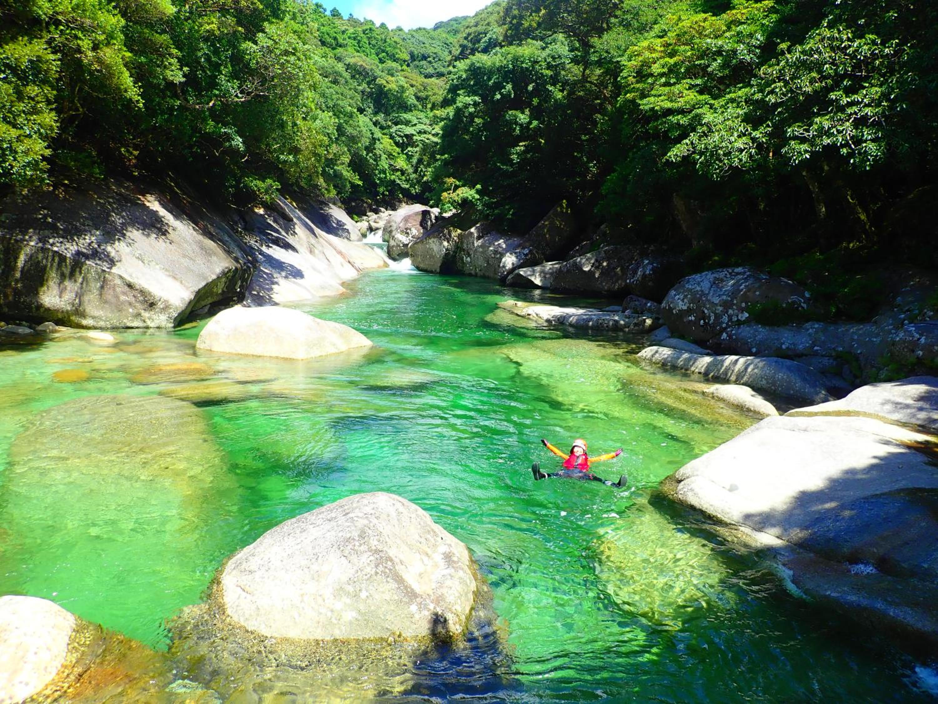 森のフェアリー Cottage Morino Fairy All cotage with open-air bath with sea view or river view