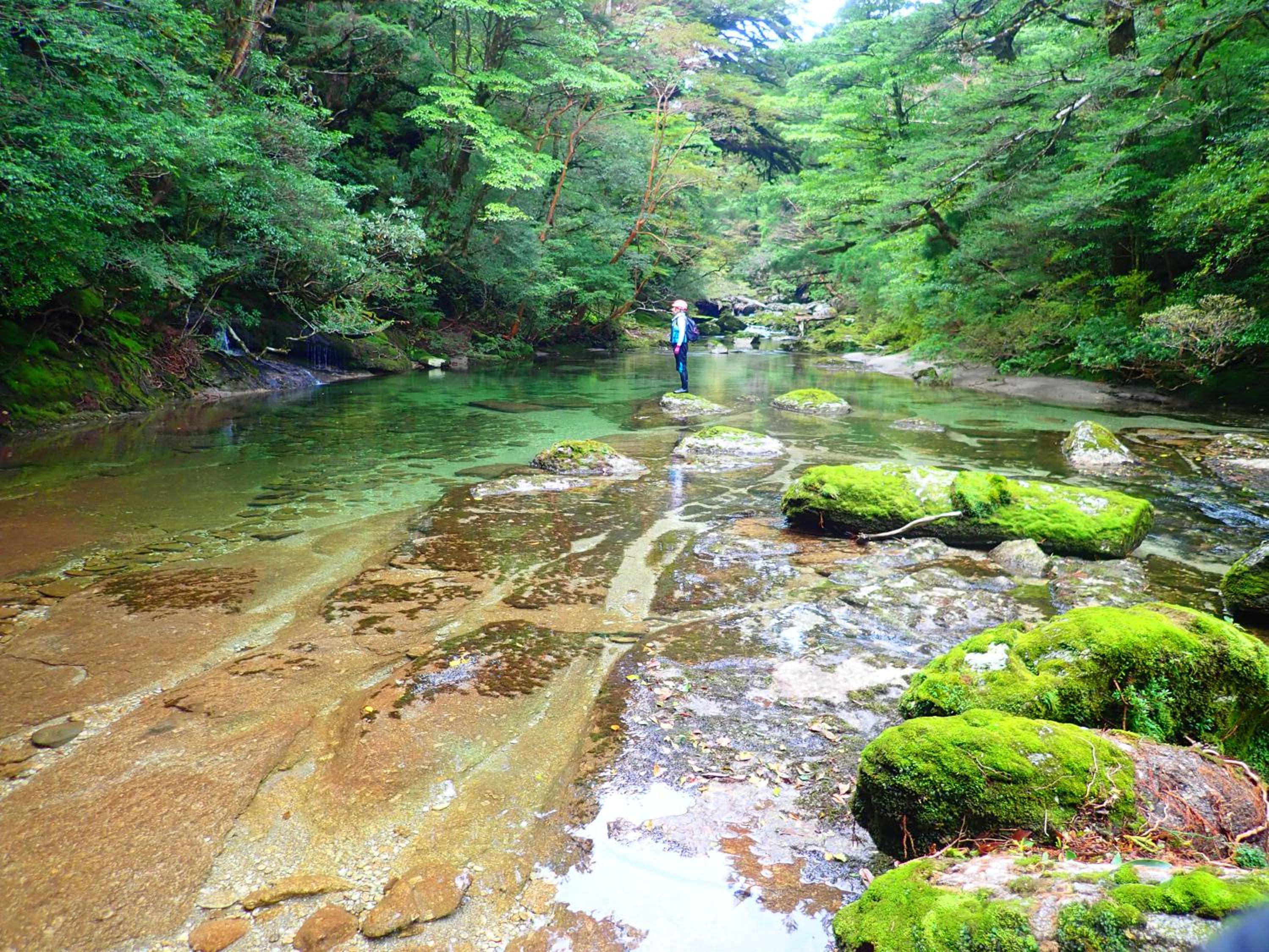 森のフェアリー Cottage Morino Fairy All cotage with open-air bath with sea view or river view