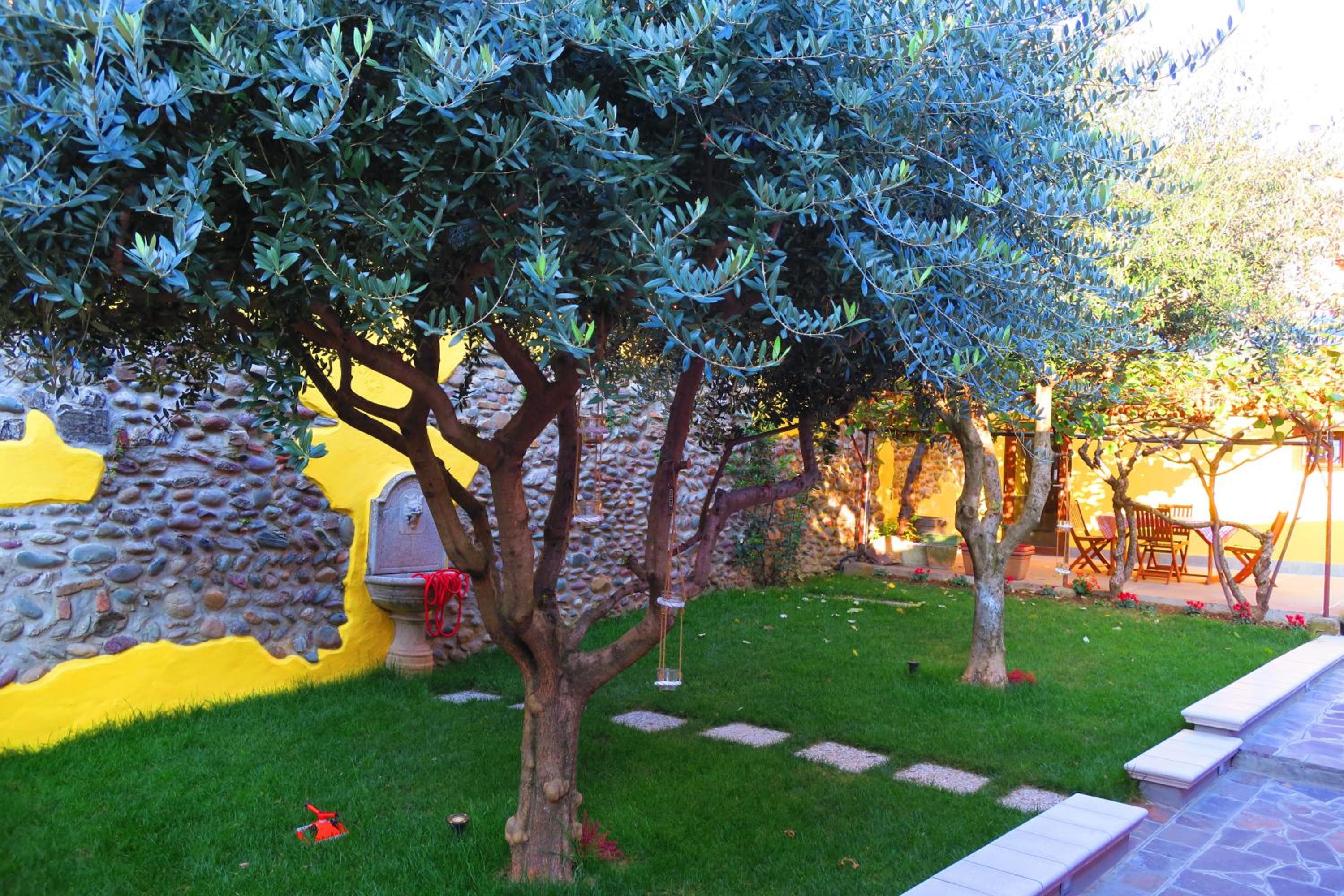 Photo 10