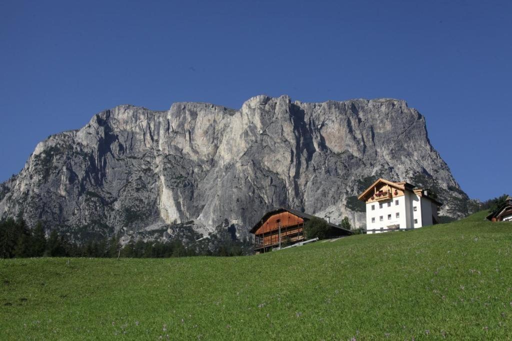 Appartamenti Sotgherdena view 3