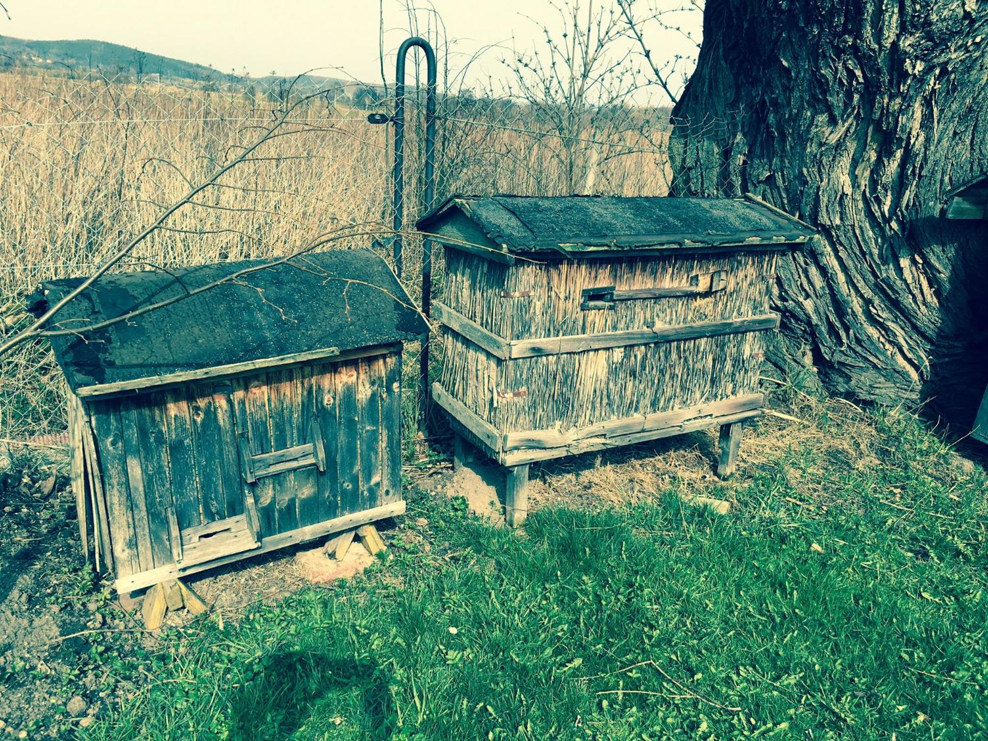 Photo 7