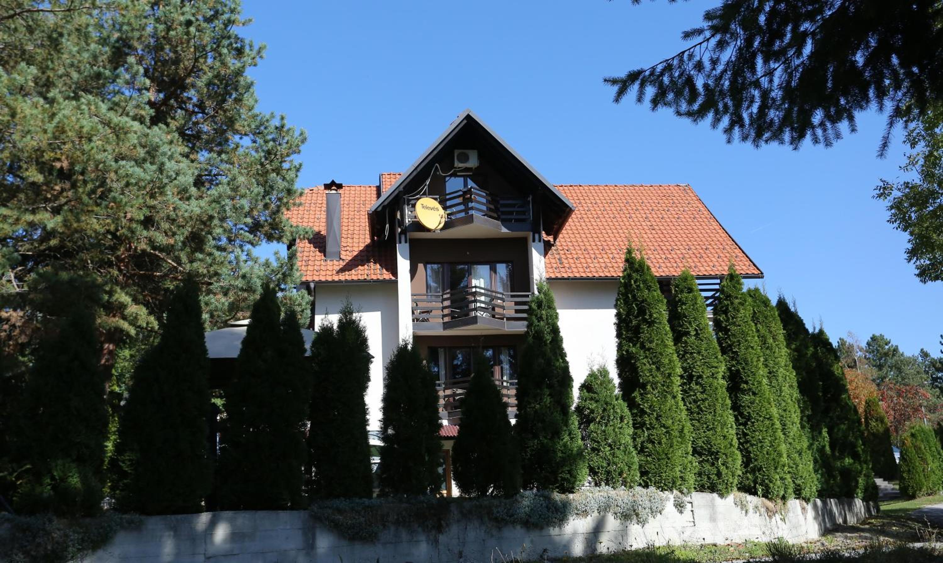 Photo 11