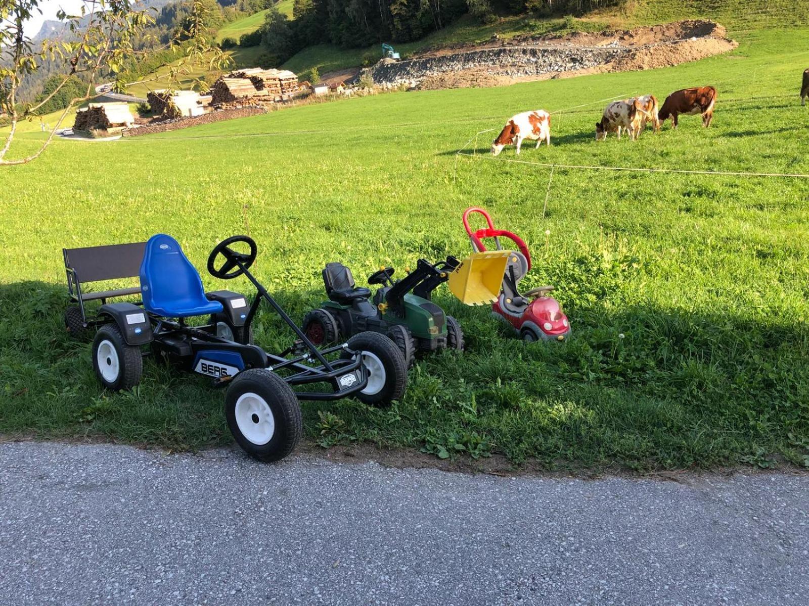 Rieserhof/Fam. Meißnitzer