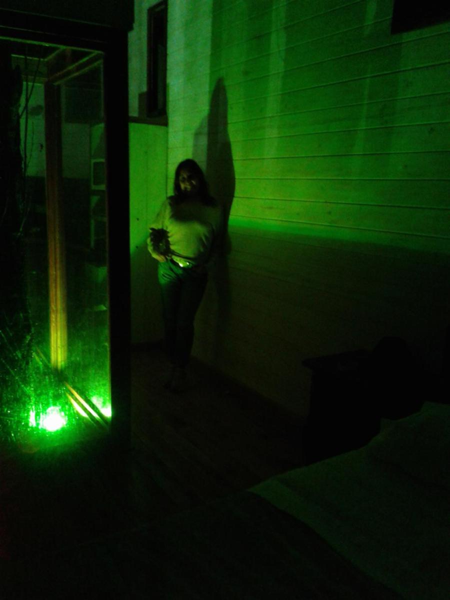 La Casa Del Arbol con pileta privada
