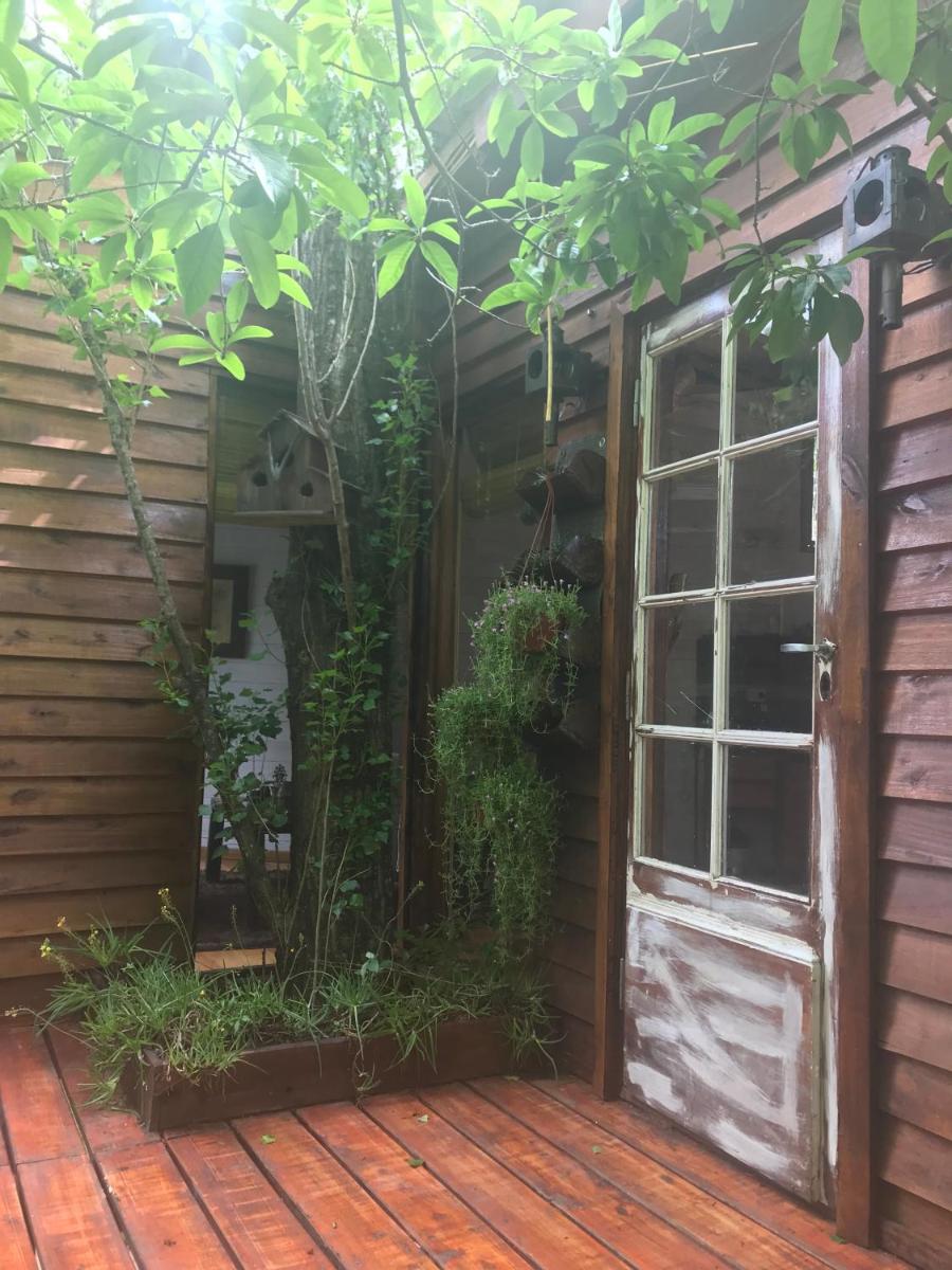 La Casa Del Arbol con pileta privada