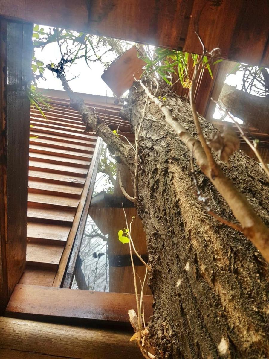 La Casa Del Arbol con pileta privada