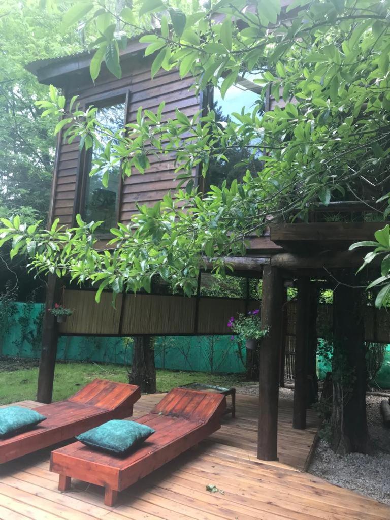 La Casa Del Arbol con pileta privada