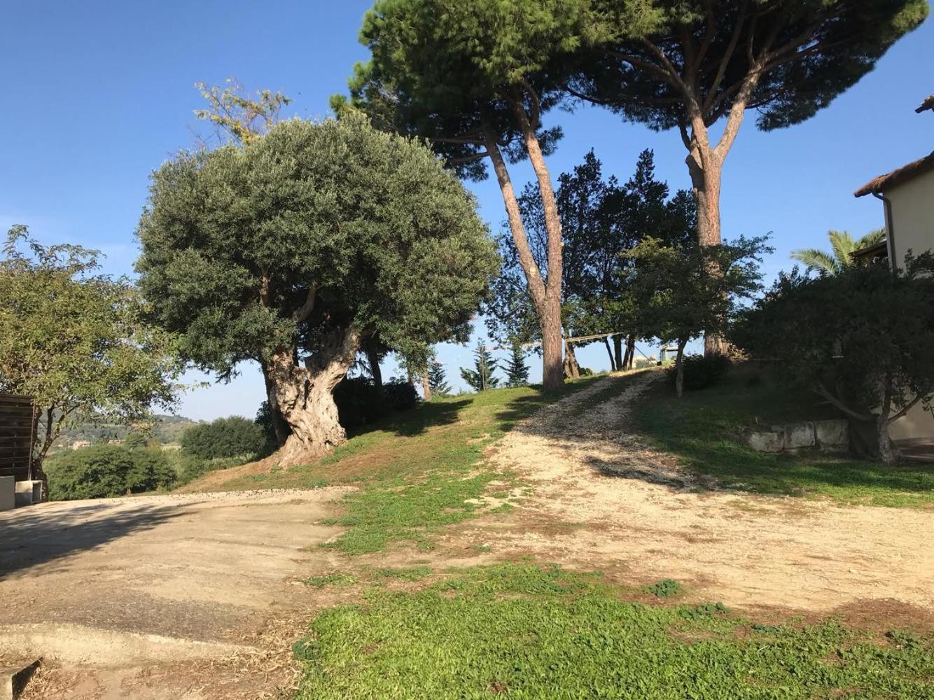 Agriturismo Il Poderino