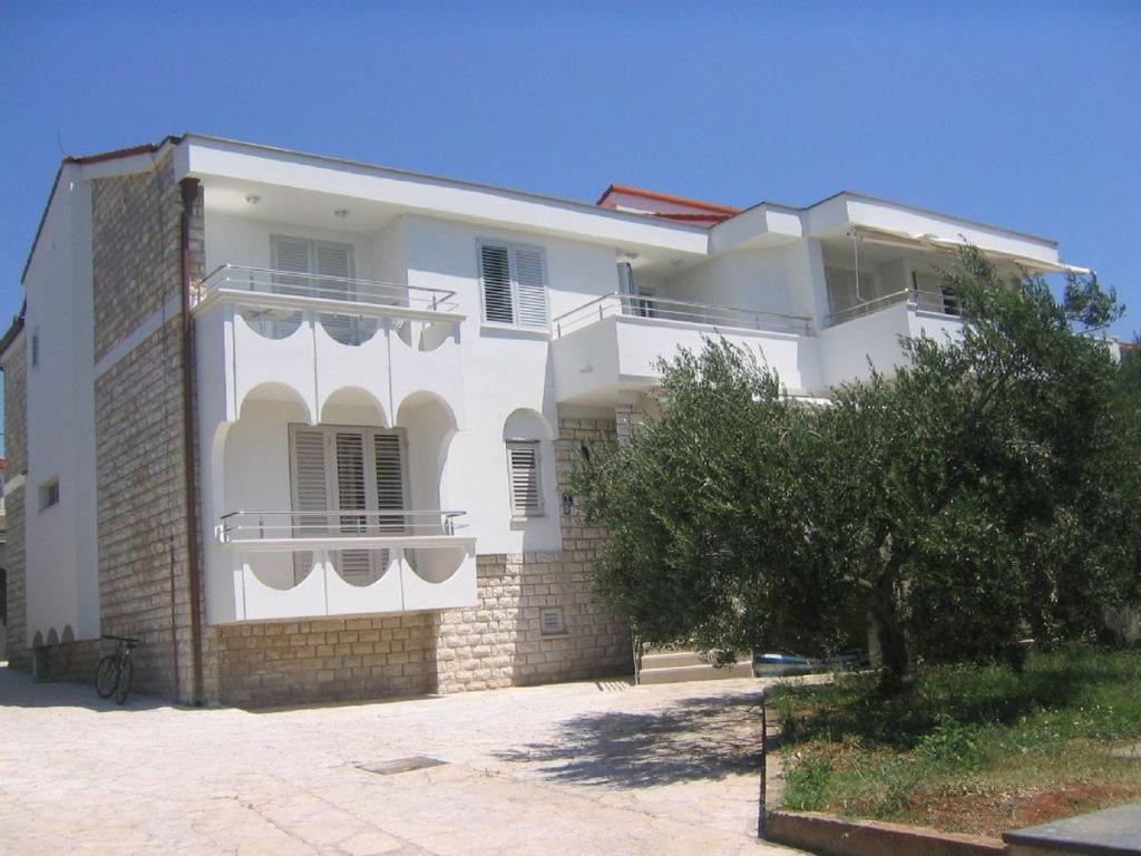 Galeb photo 2