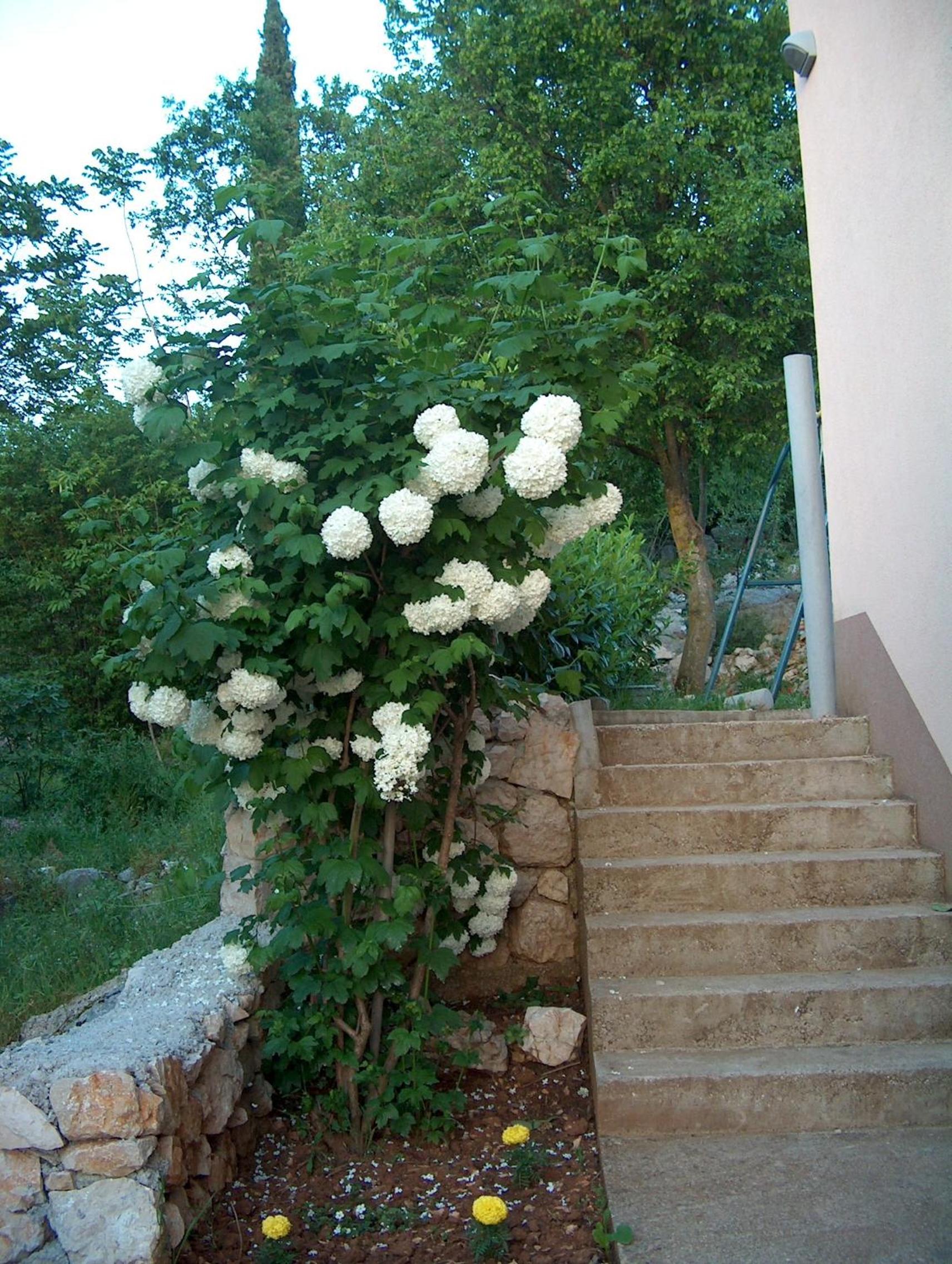 Villa Petra