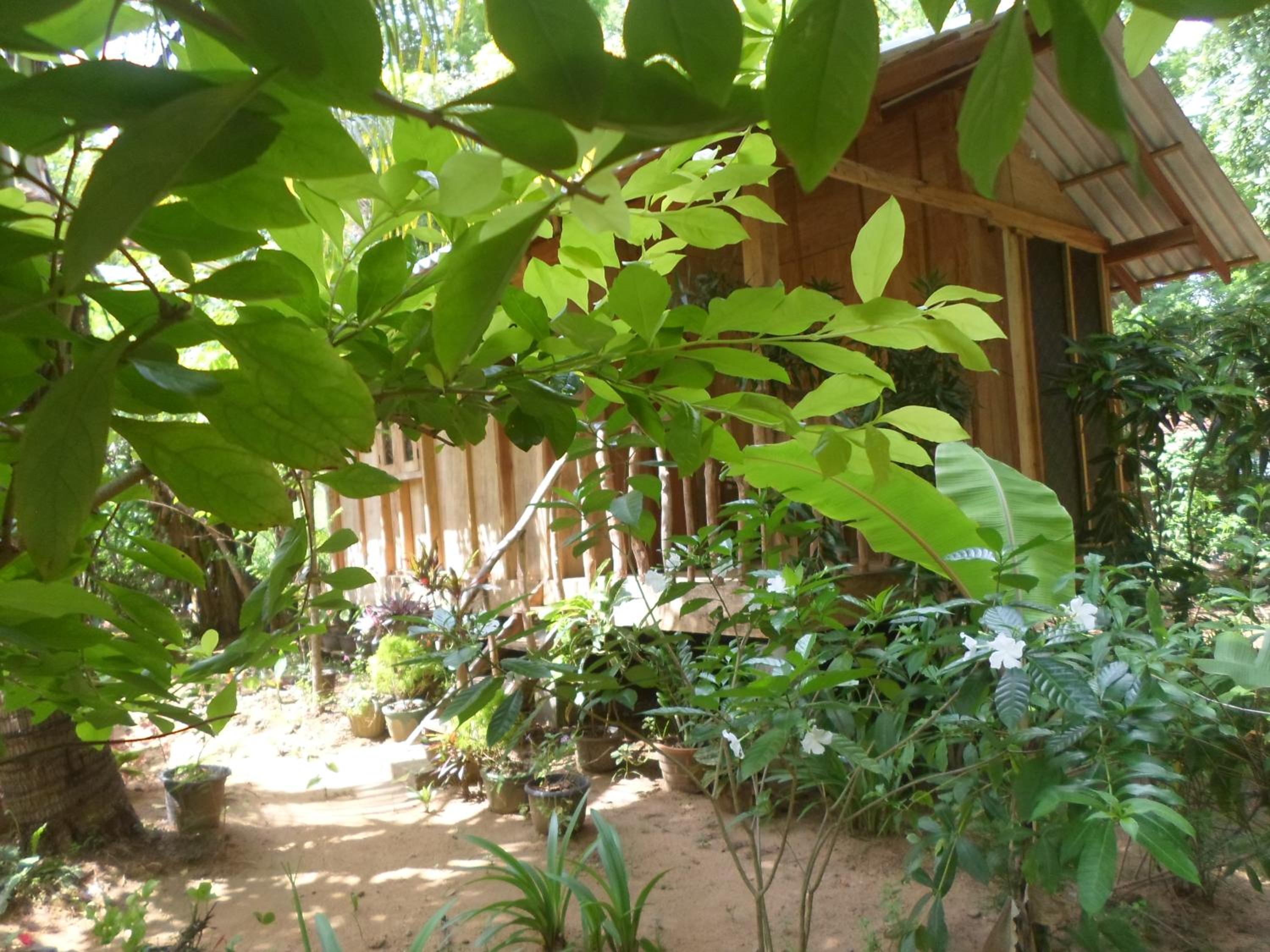 Photo 15