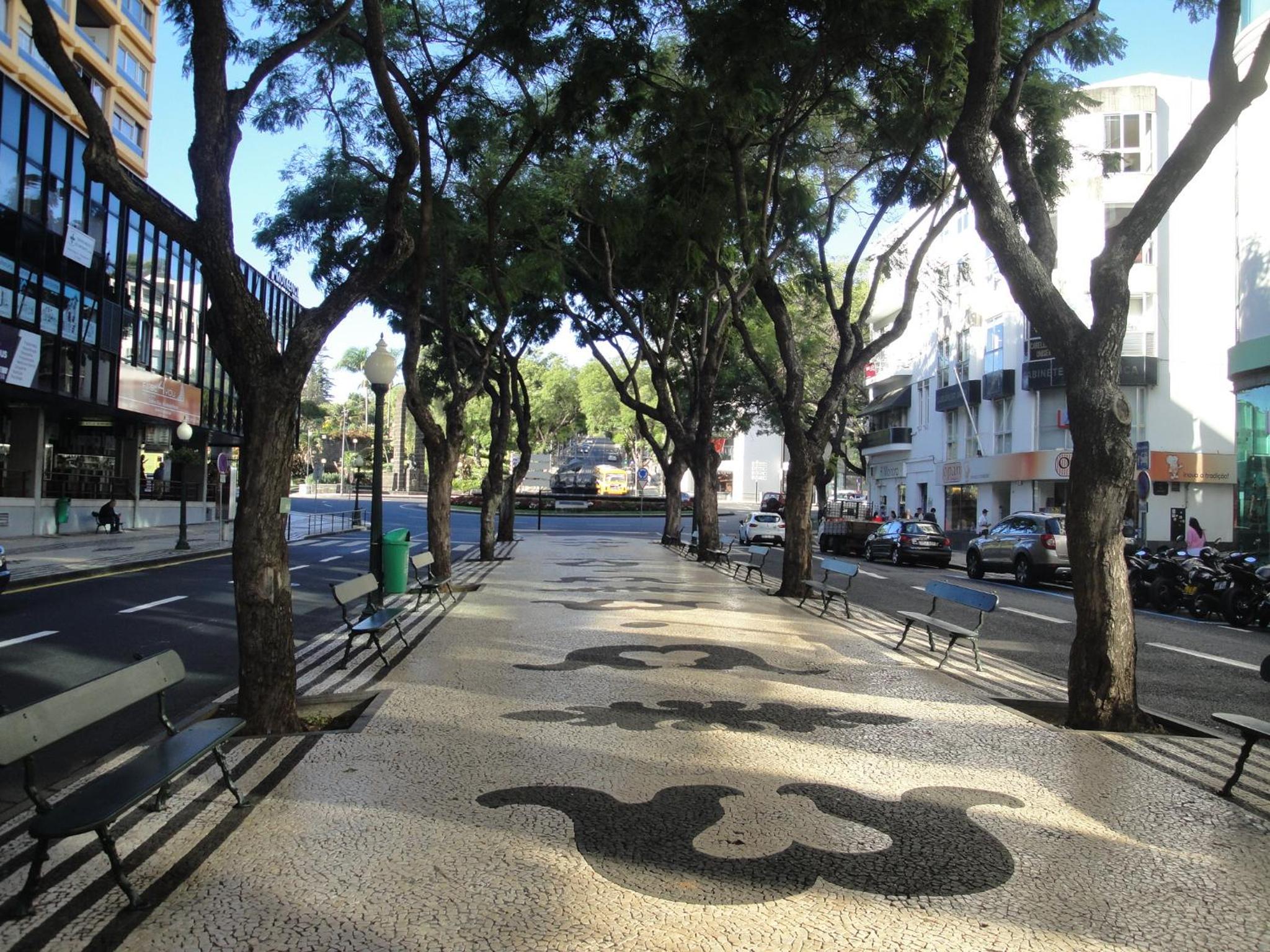 Violeta House en Funchal