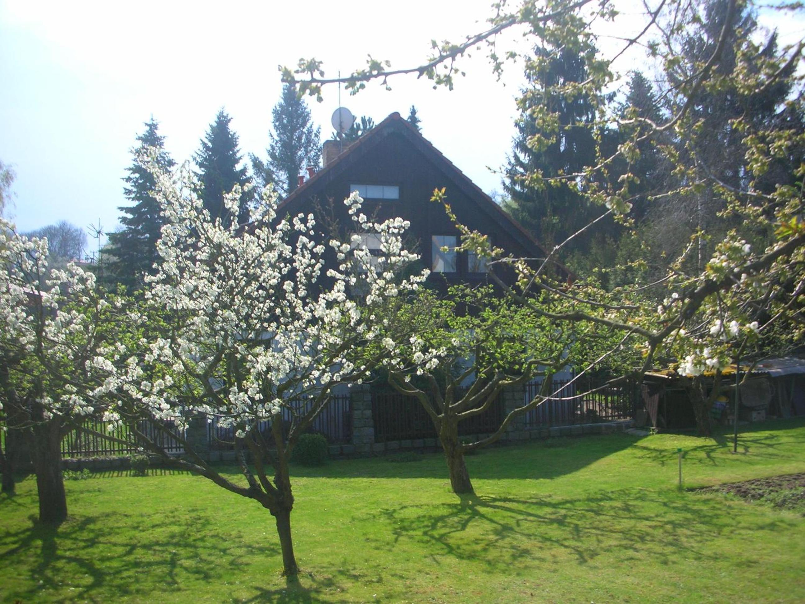 Conifer Cottage IdyllicPrague