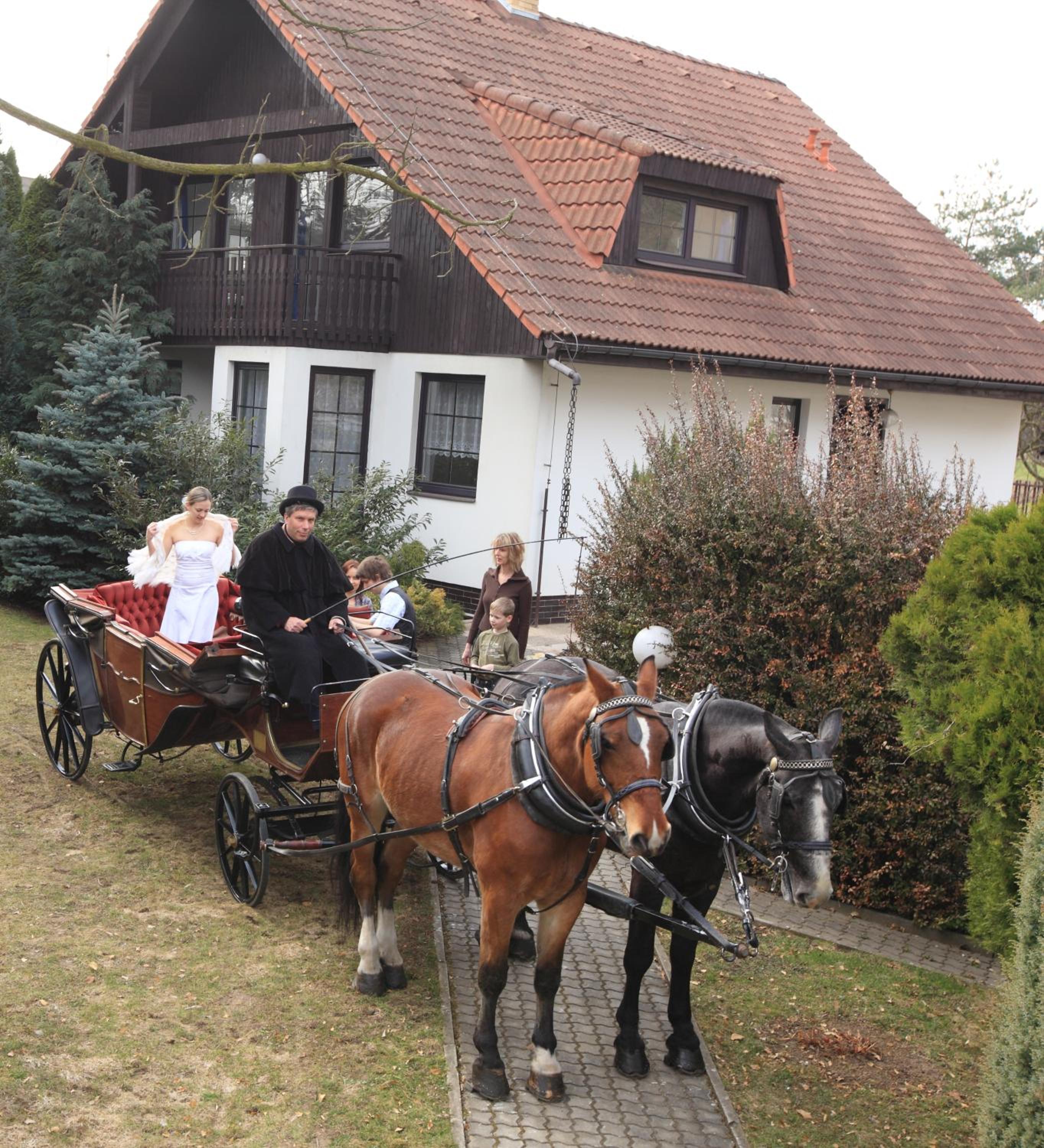 Conifer Cottage IdyllicPrague