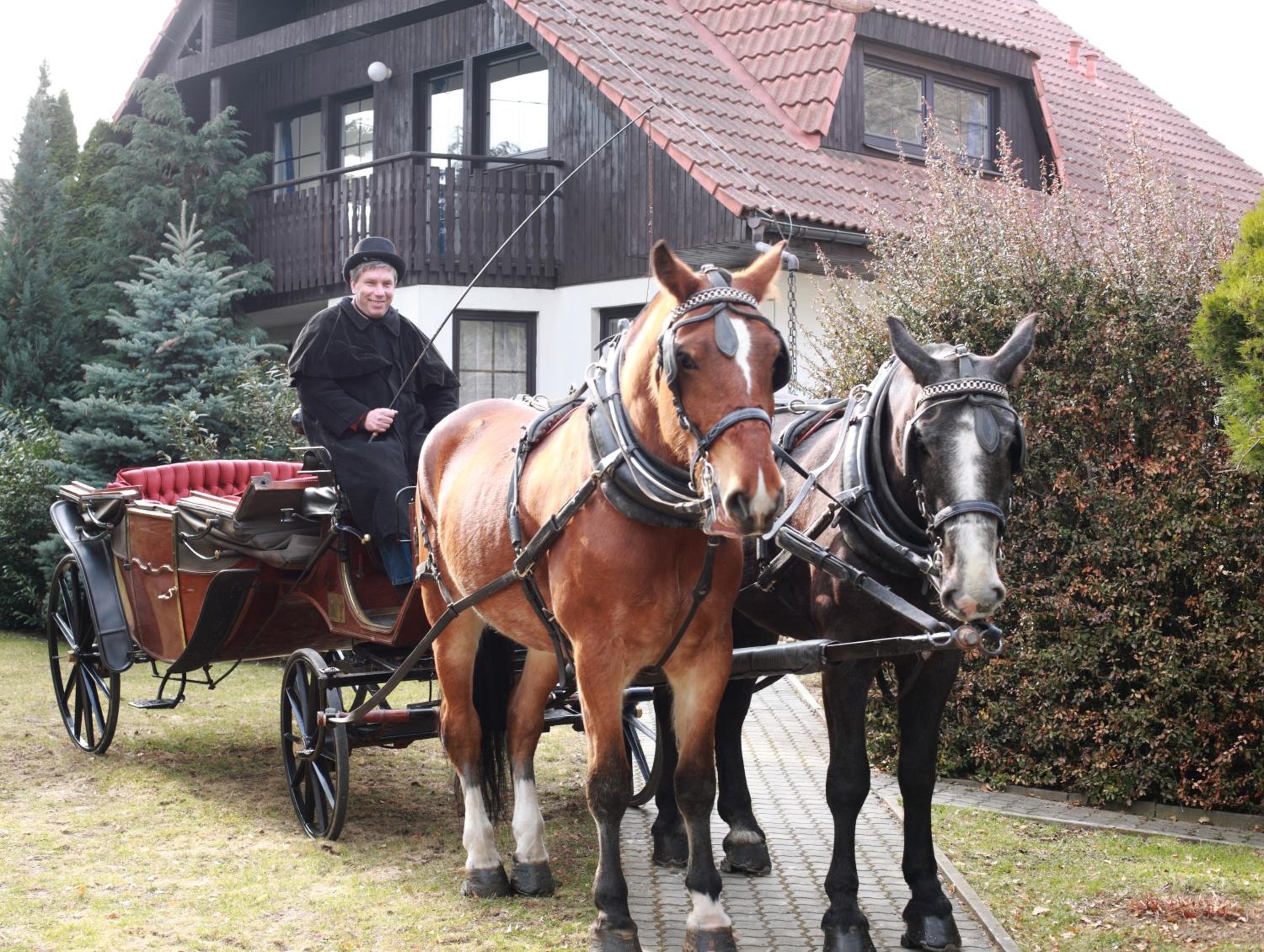 Conifer Cottage IdyllicPrague