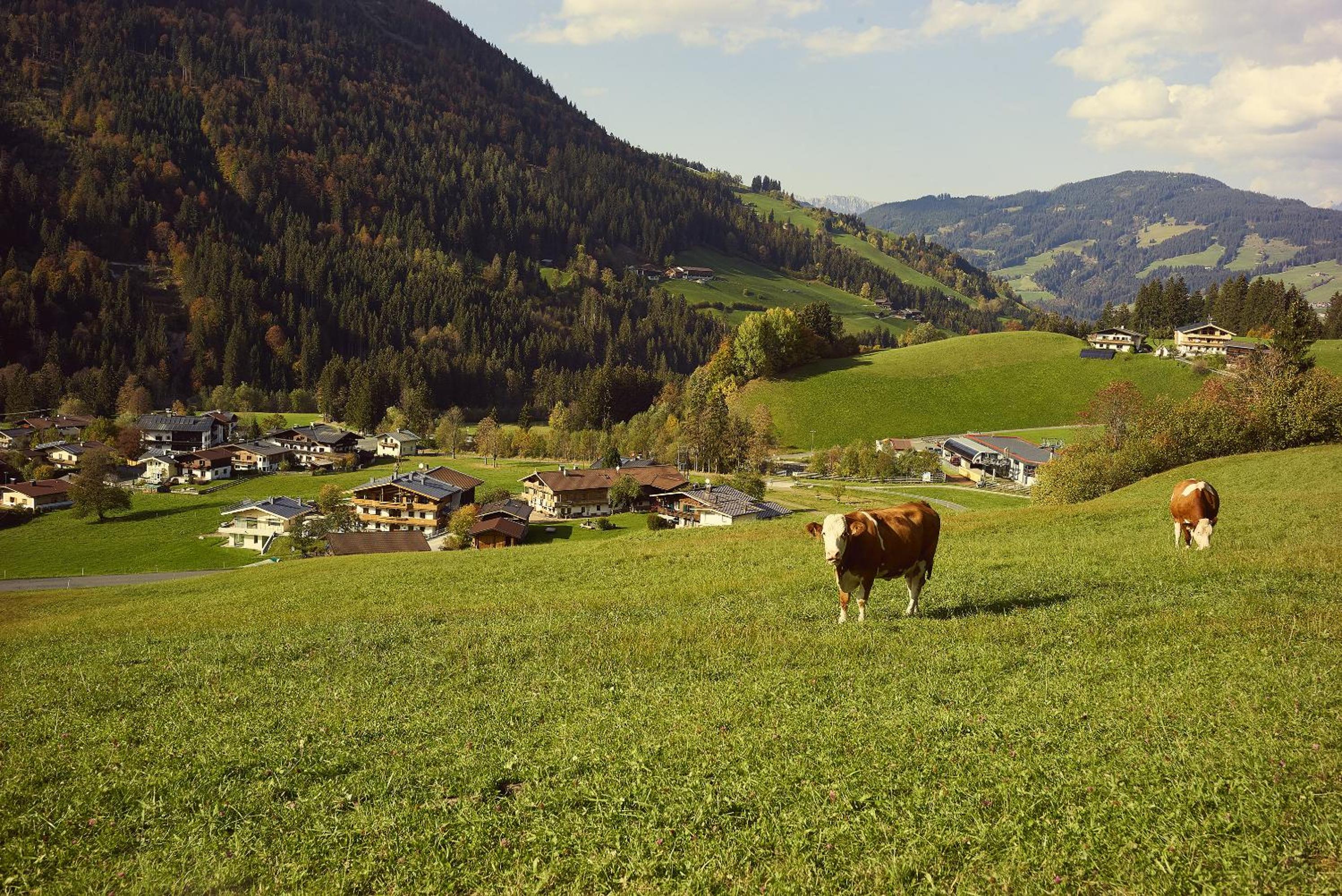 Beim Rohrer