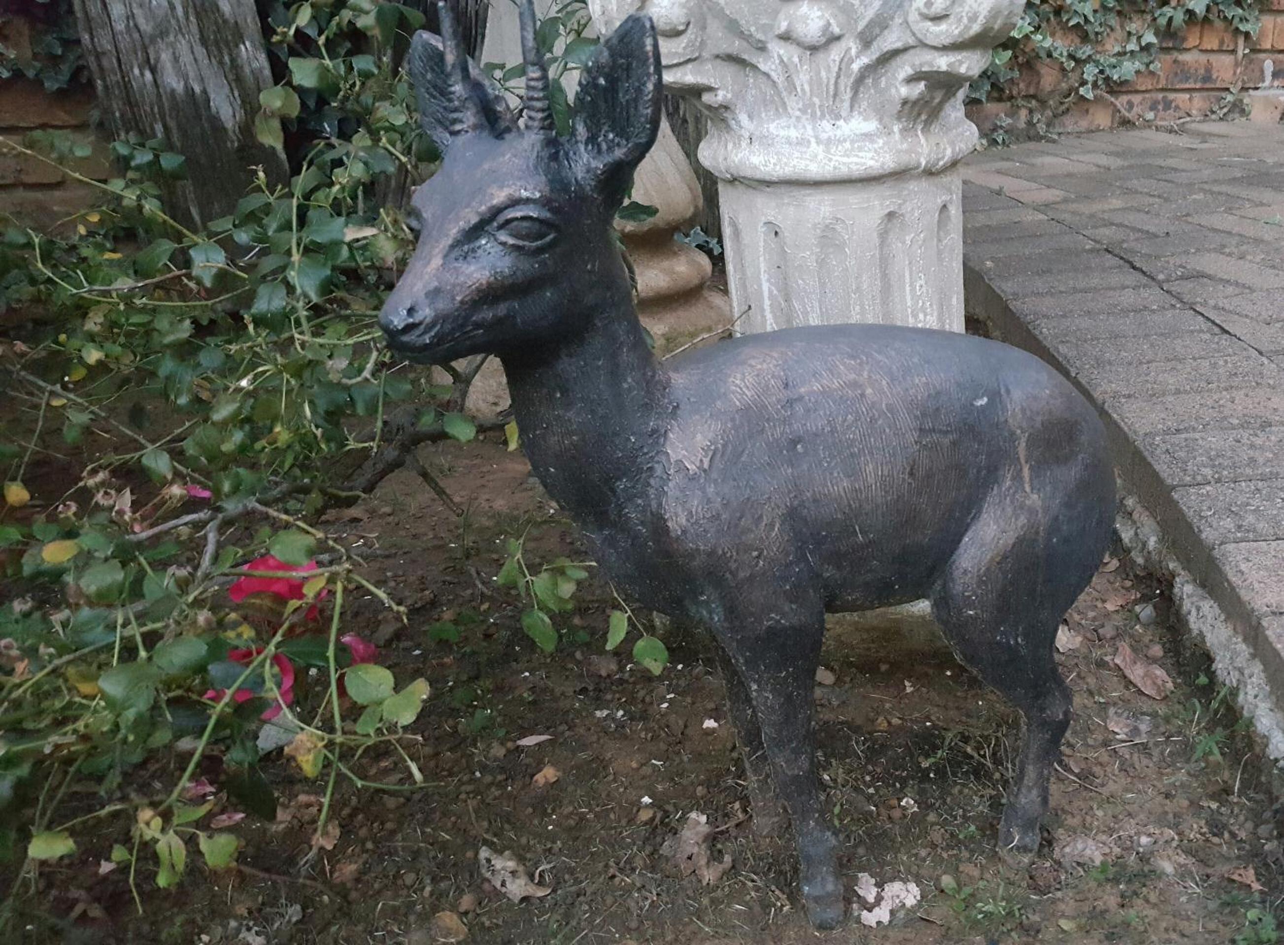 Gemsbok Cottage