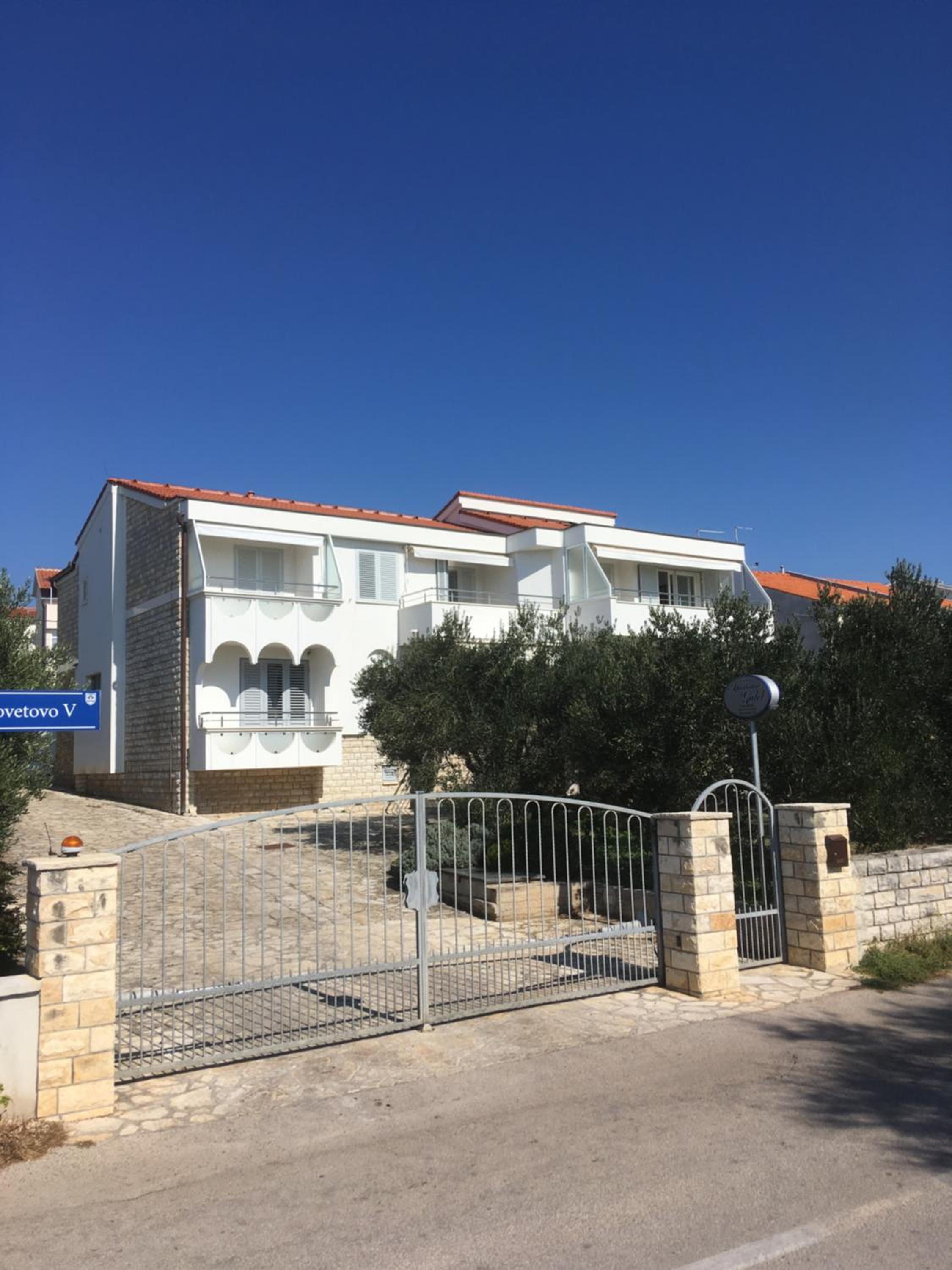 Galeb