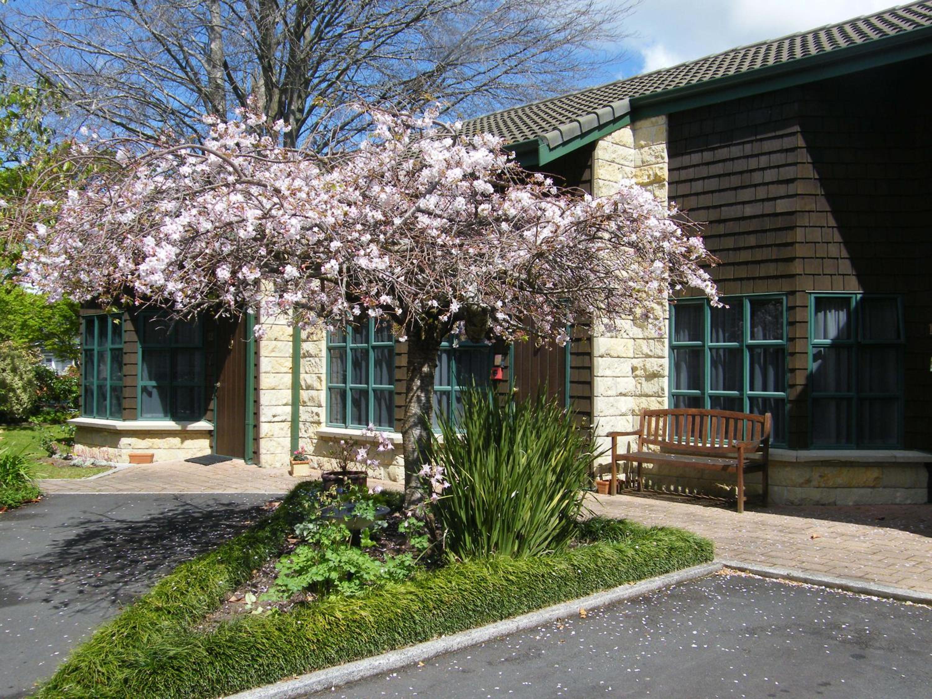 Cambridge Mews Motel