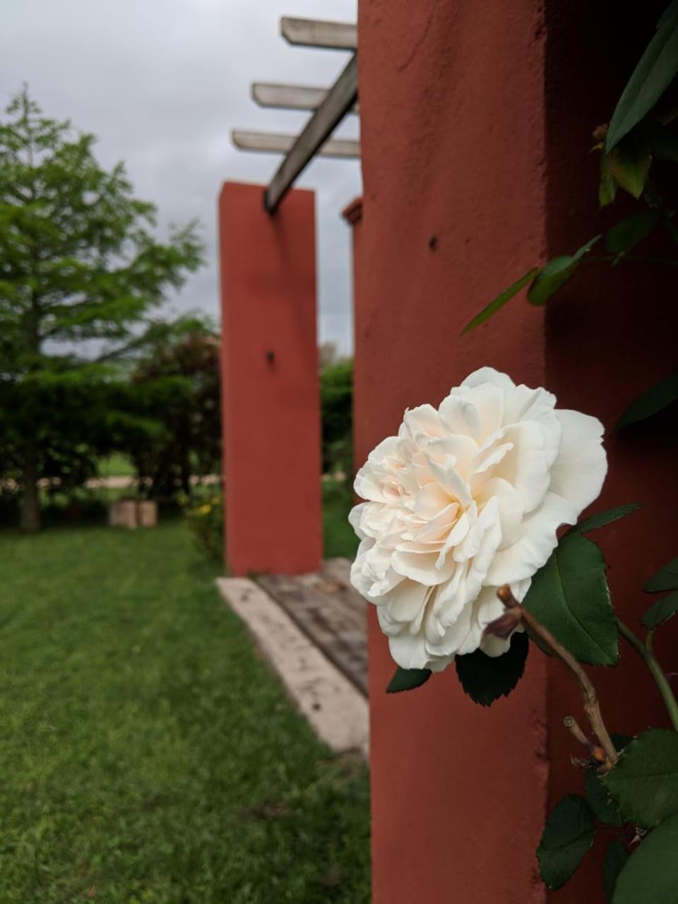 La Colorada