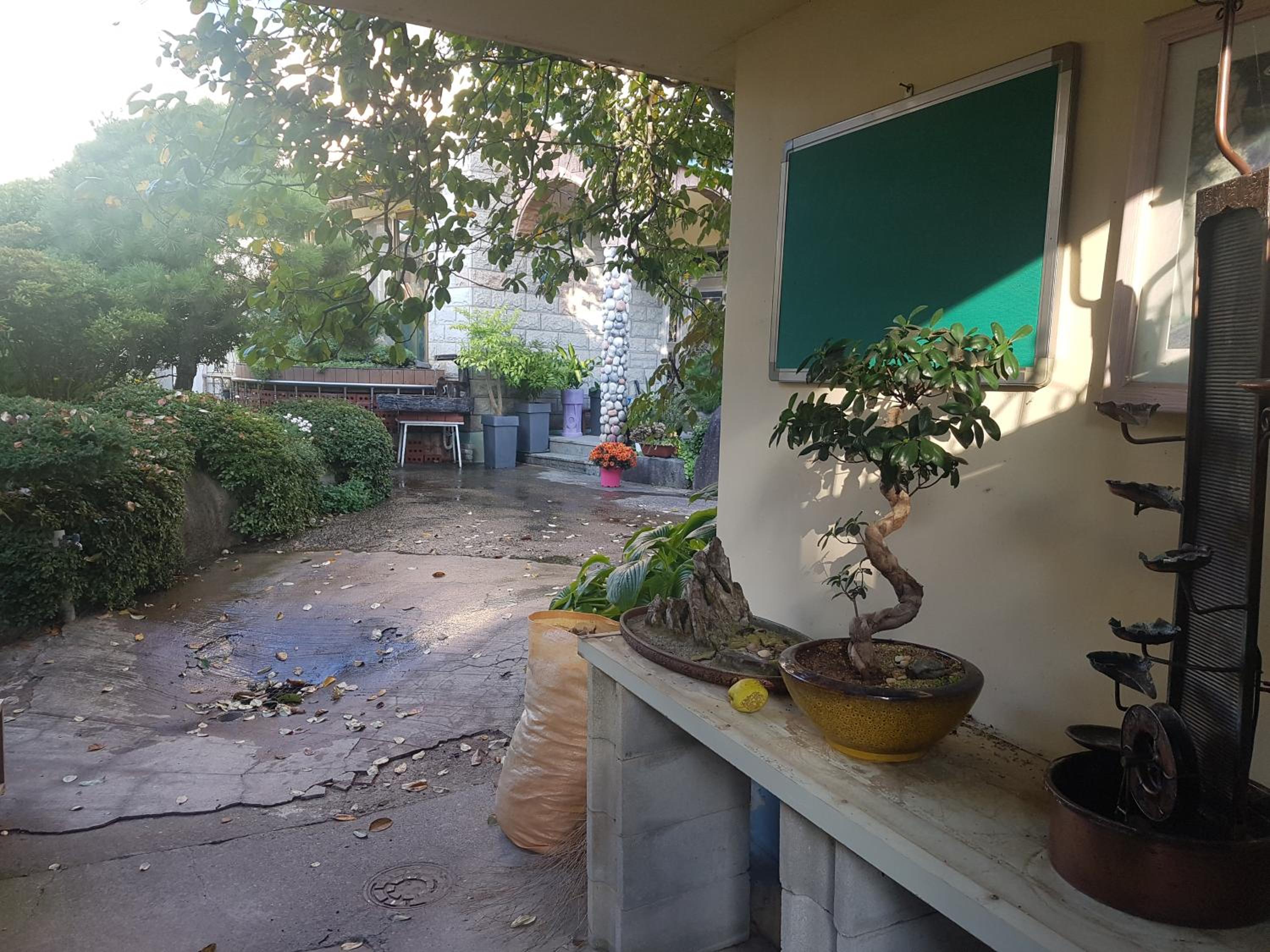 JNW MINBAK view 5