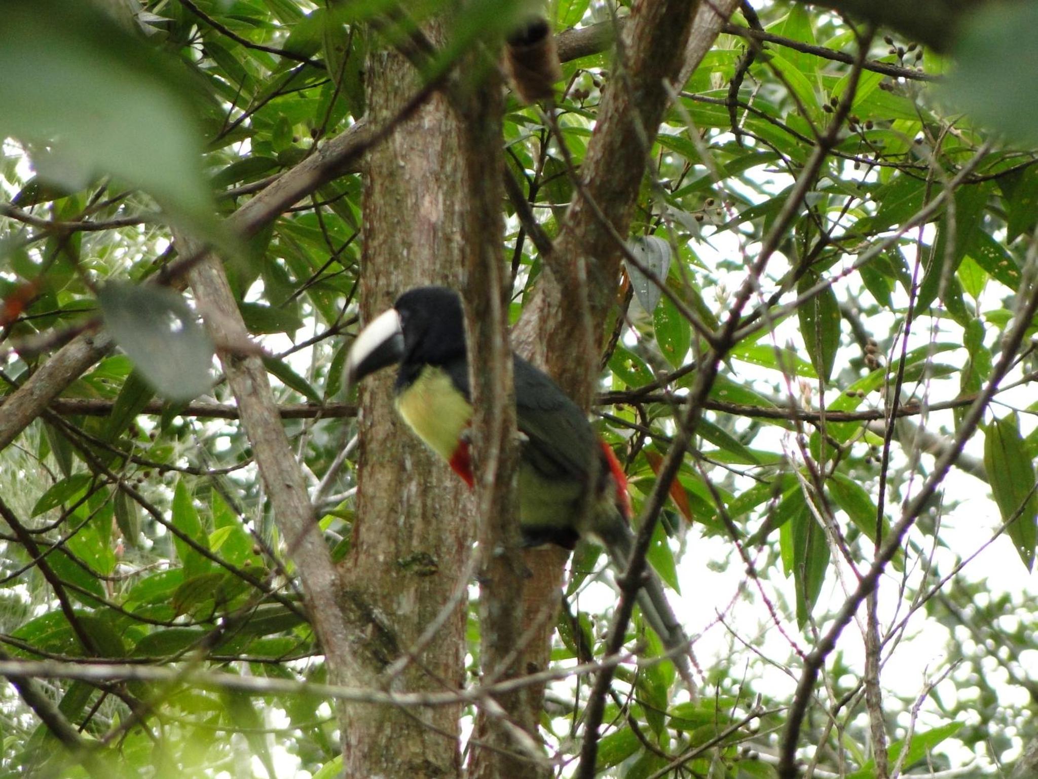 Fazenda Tapinuã