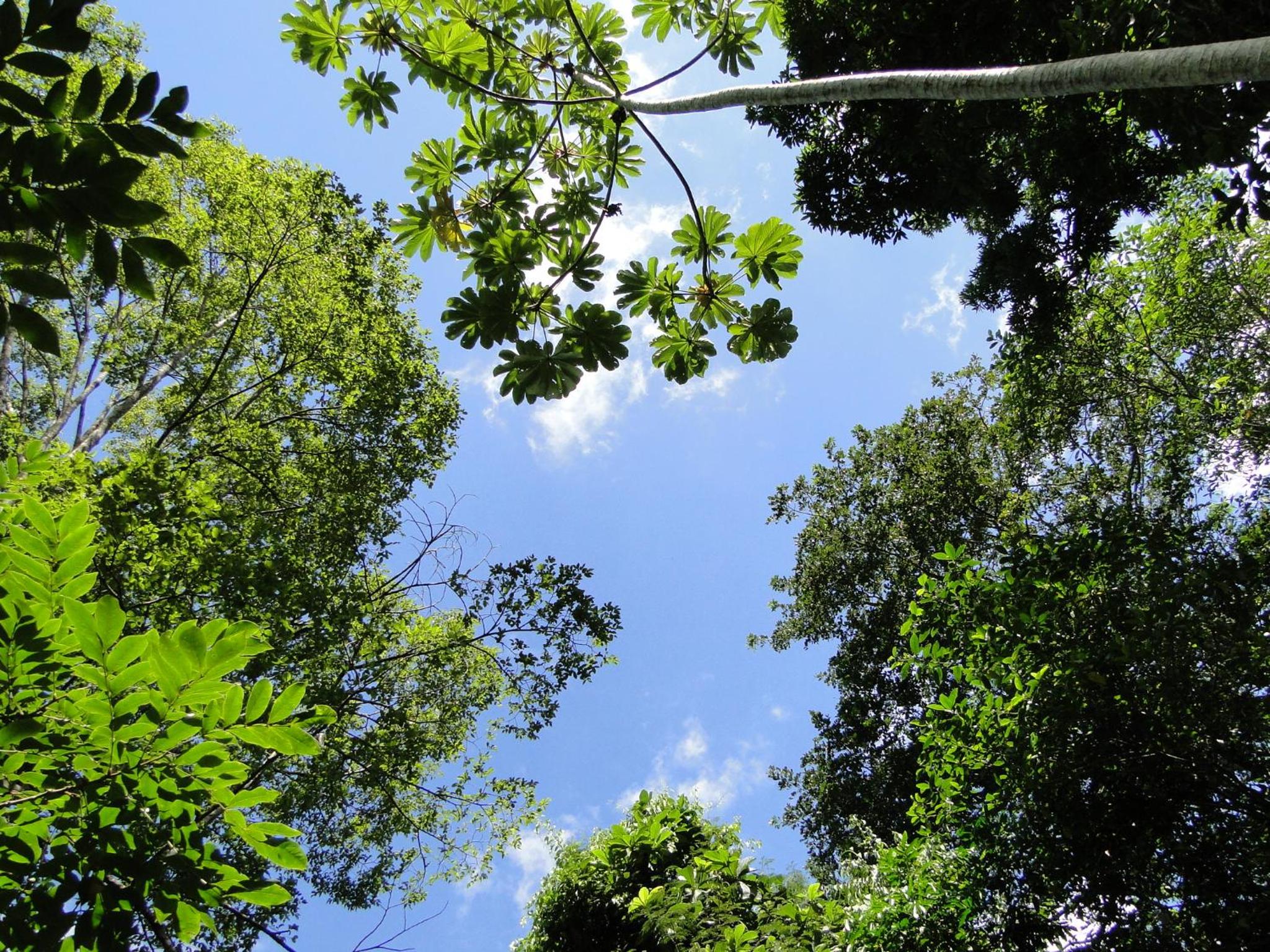 Fazenda Tapinuã