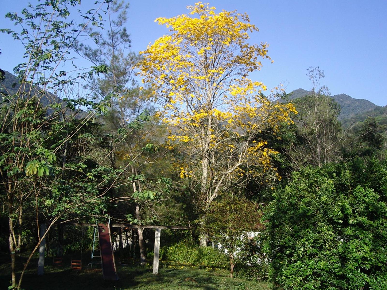 Fazenda Tapinuã