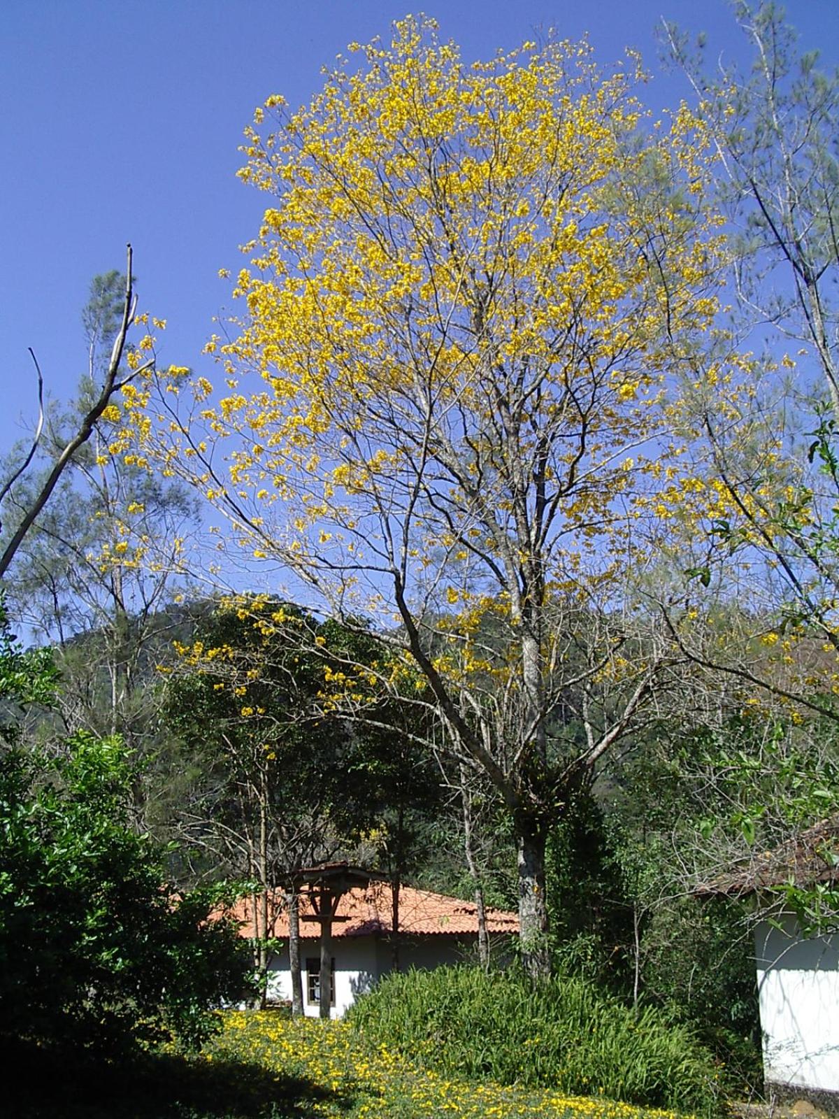 Fazenda Tapinuã