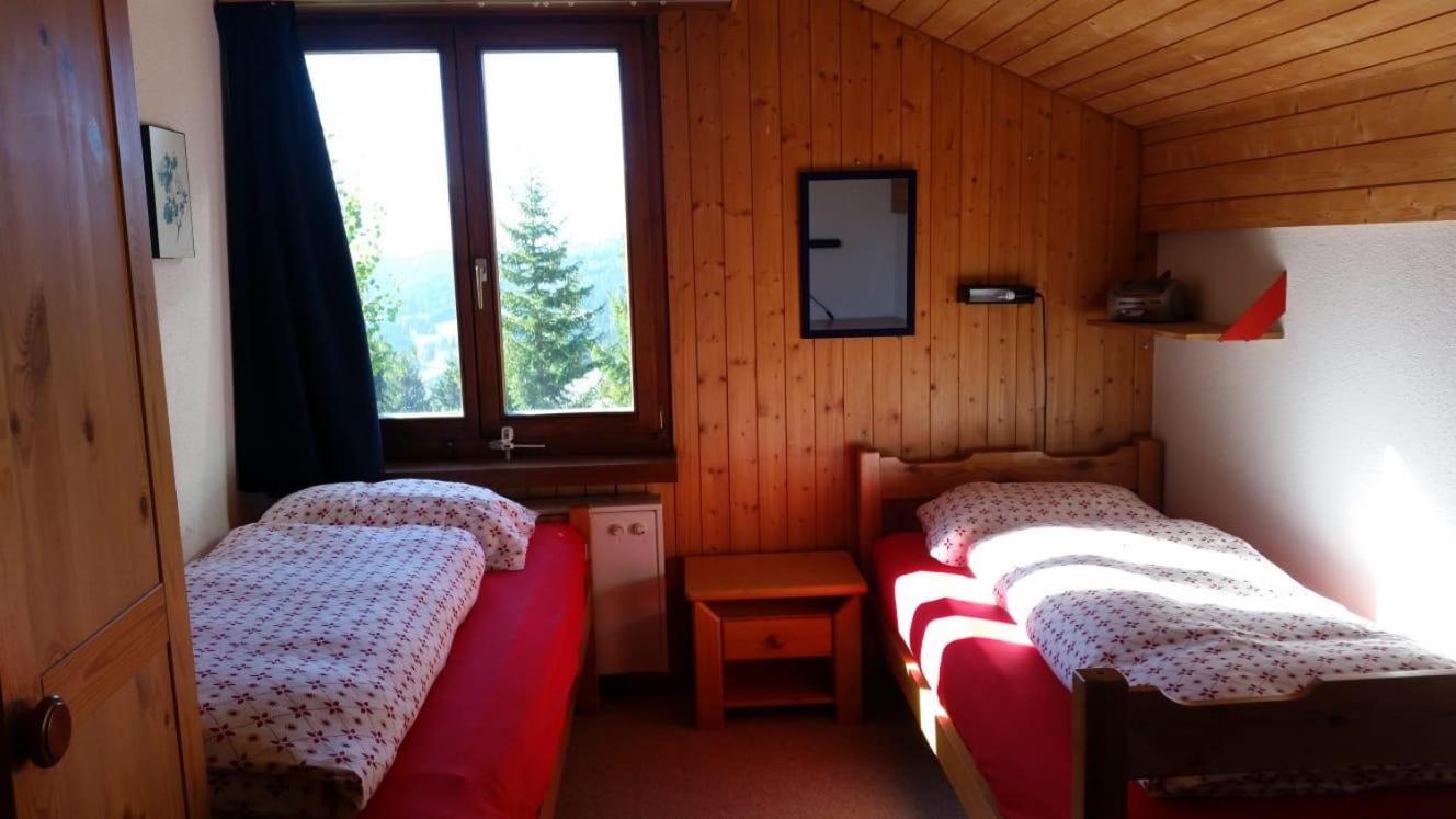 Barlangia (453 Ko)