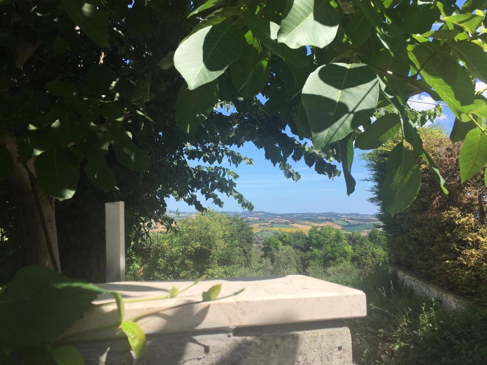 Eden Lilli B&B, photo 25