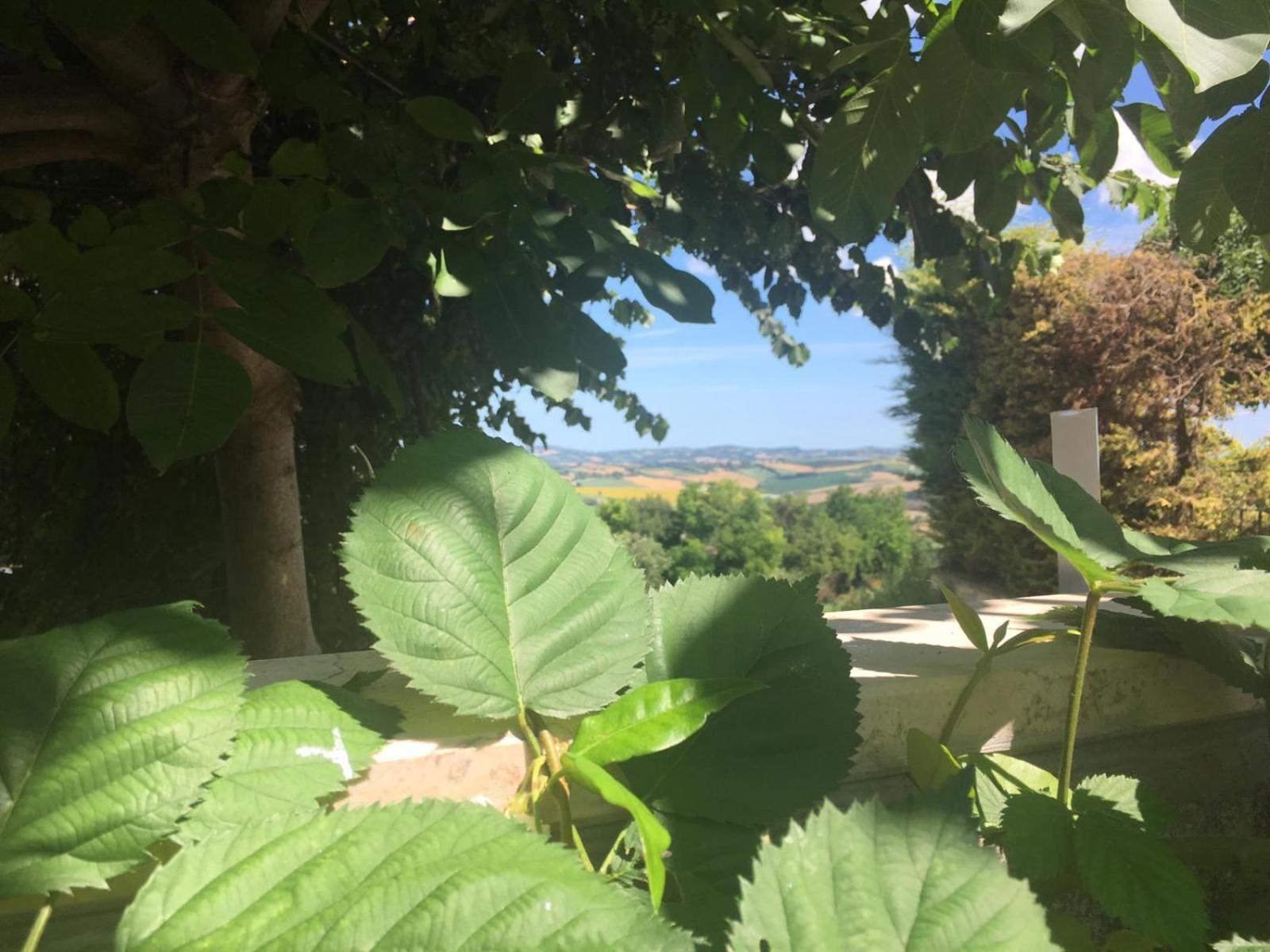 Eden Lilli B&B, photo 22