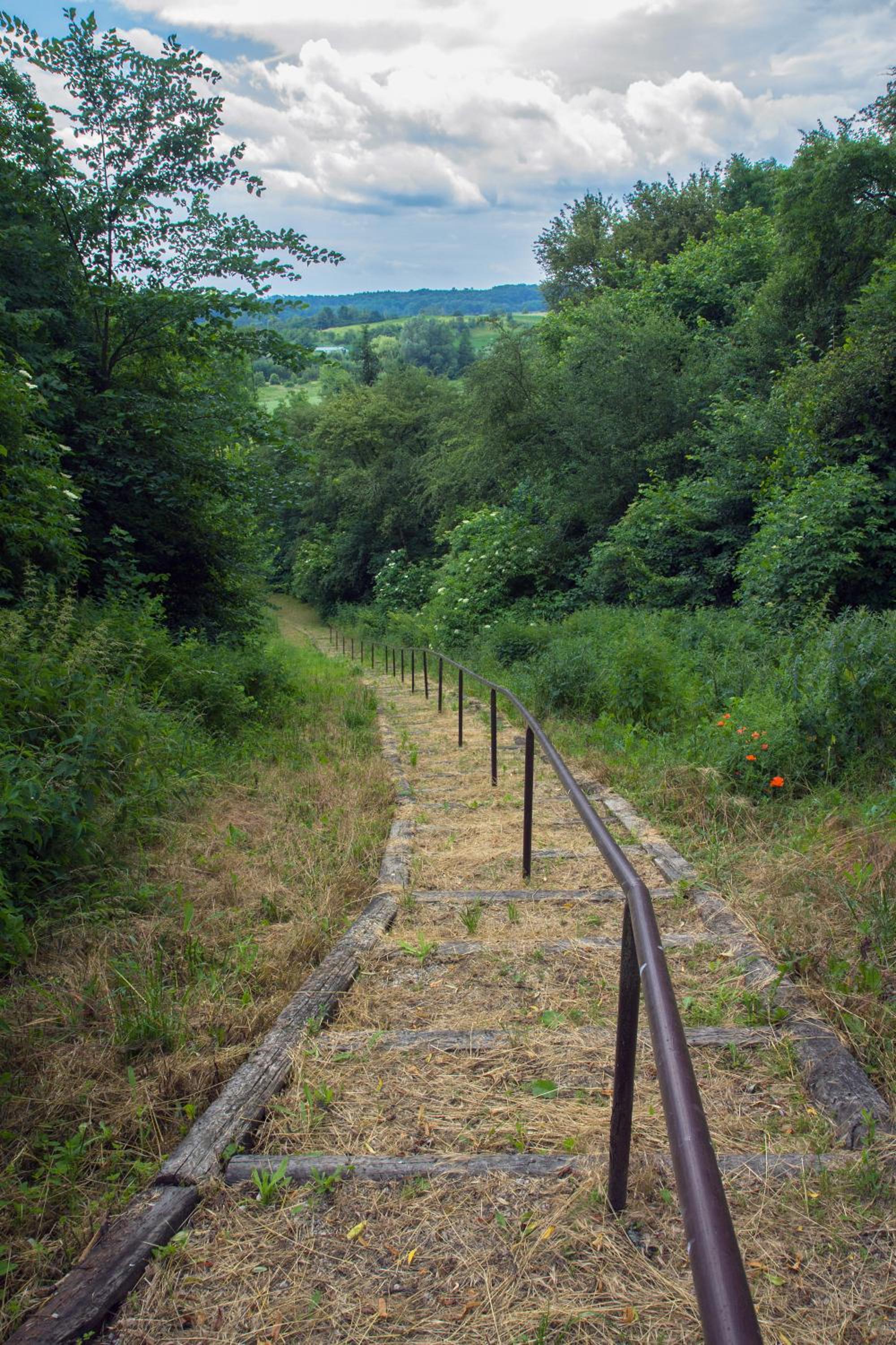 Photo 56