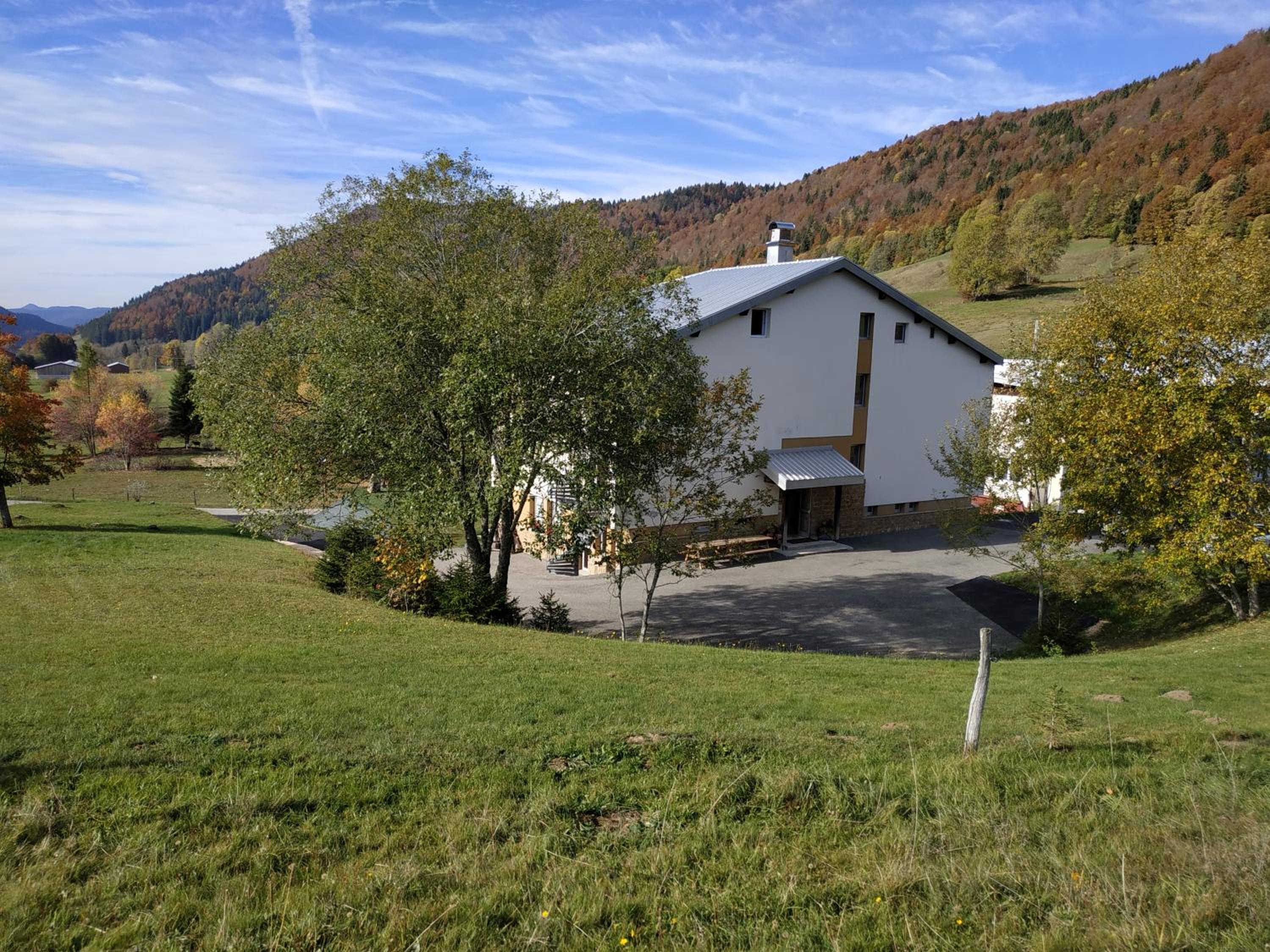 Photo 45
