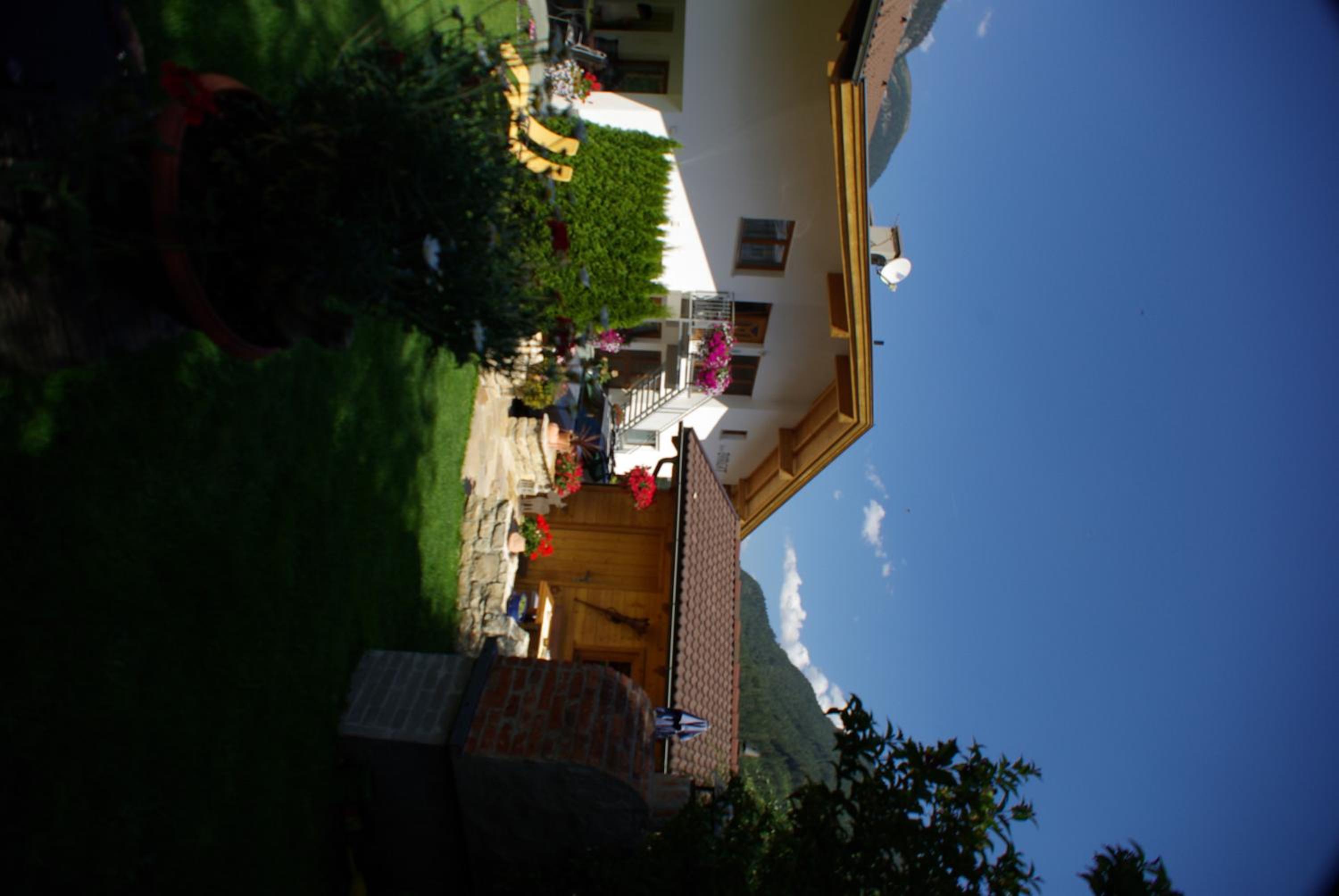 Photo 41