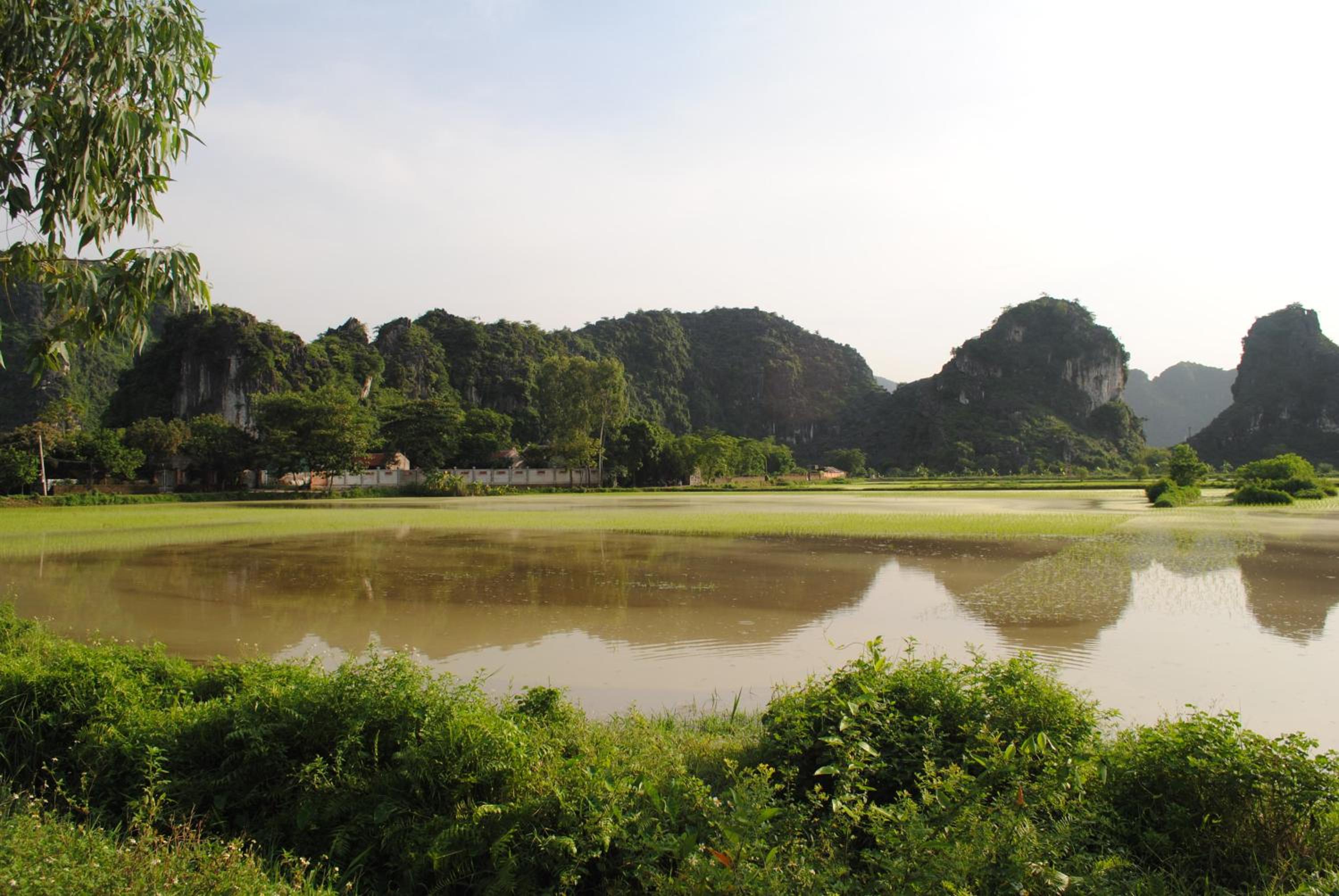 Mr. Viet home stay
