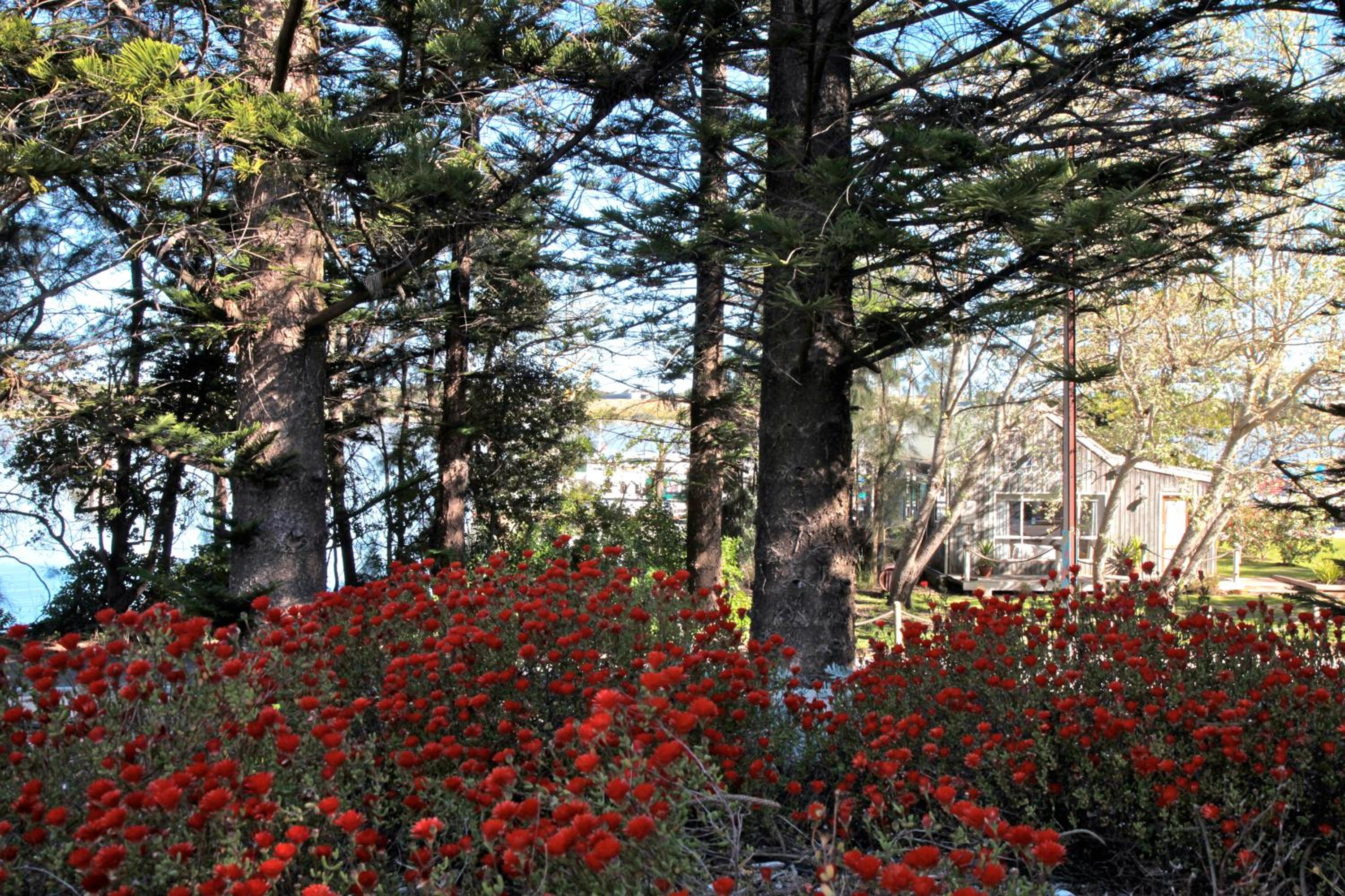 Boathouse - Birks River Retreat