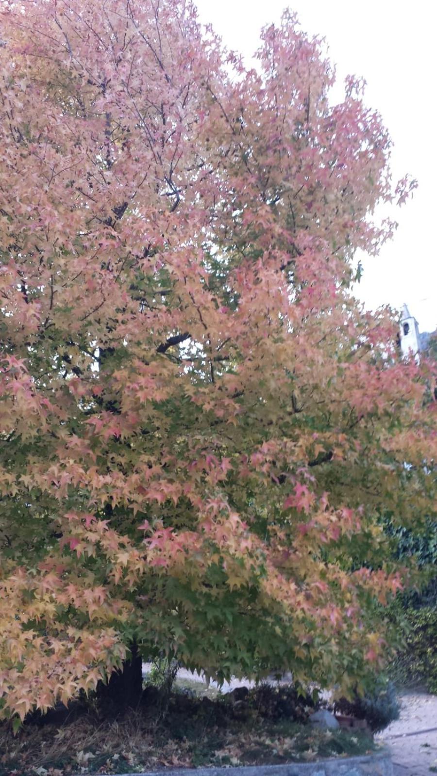 Le Lierre view 2