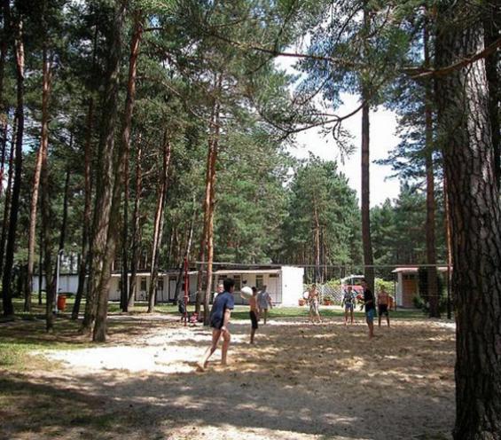 Centrum Szkolenia i Rekreacji Krasnobród view 4