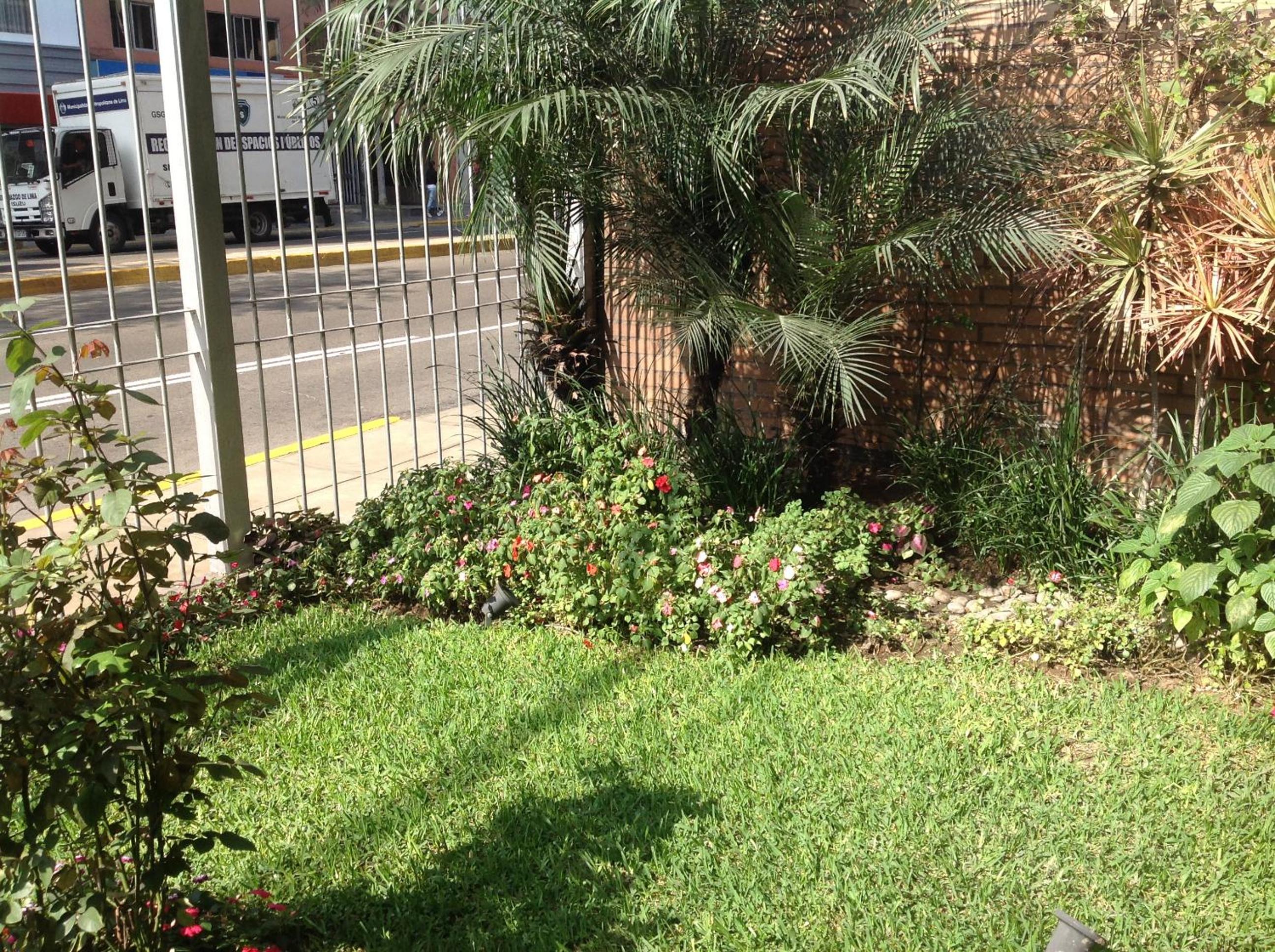 Photo 12