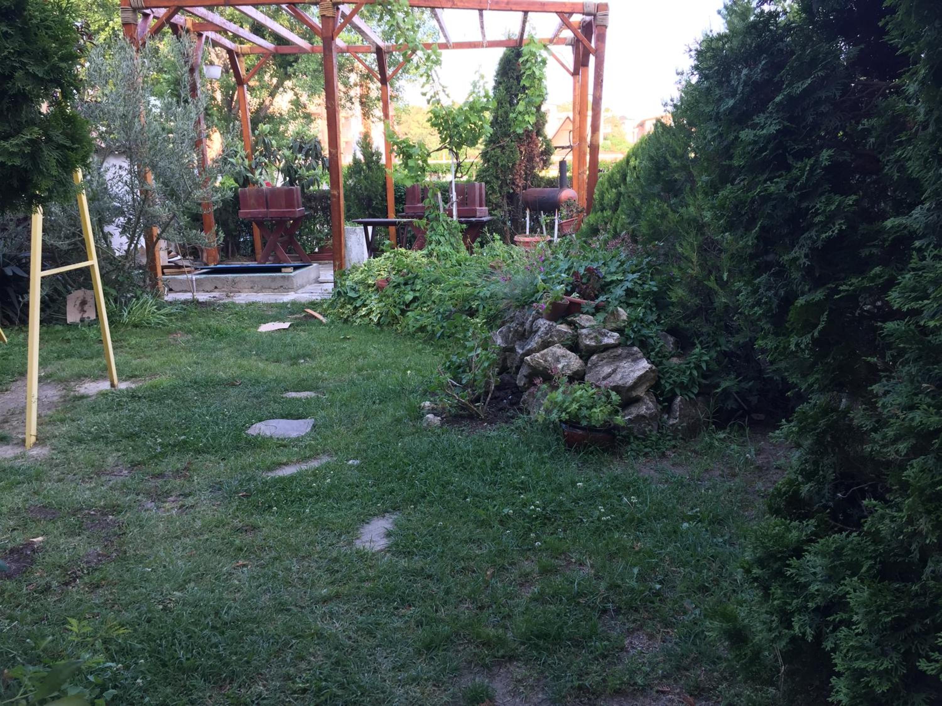 Photo 42