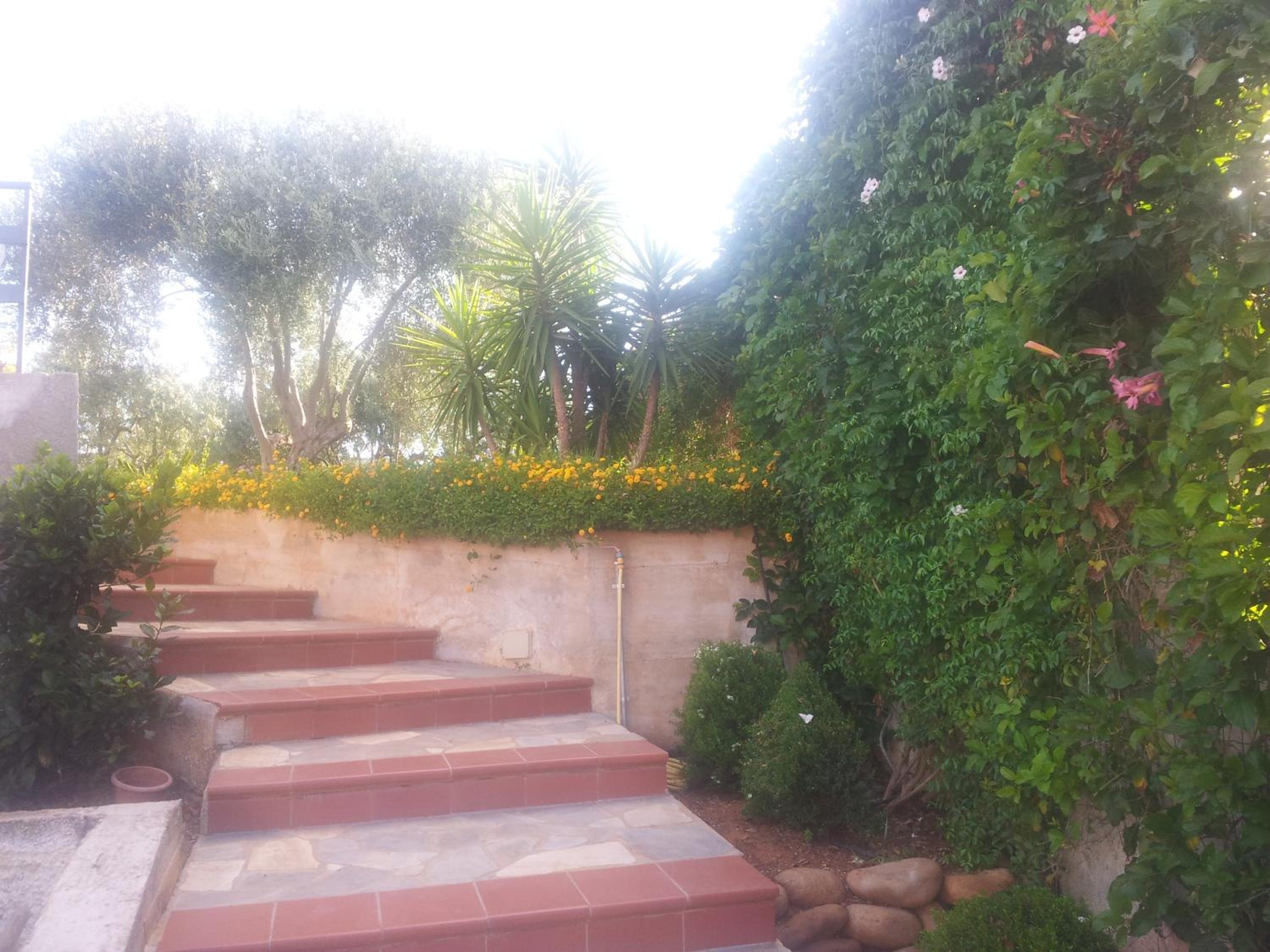 Villa Ficodindia view 5