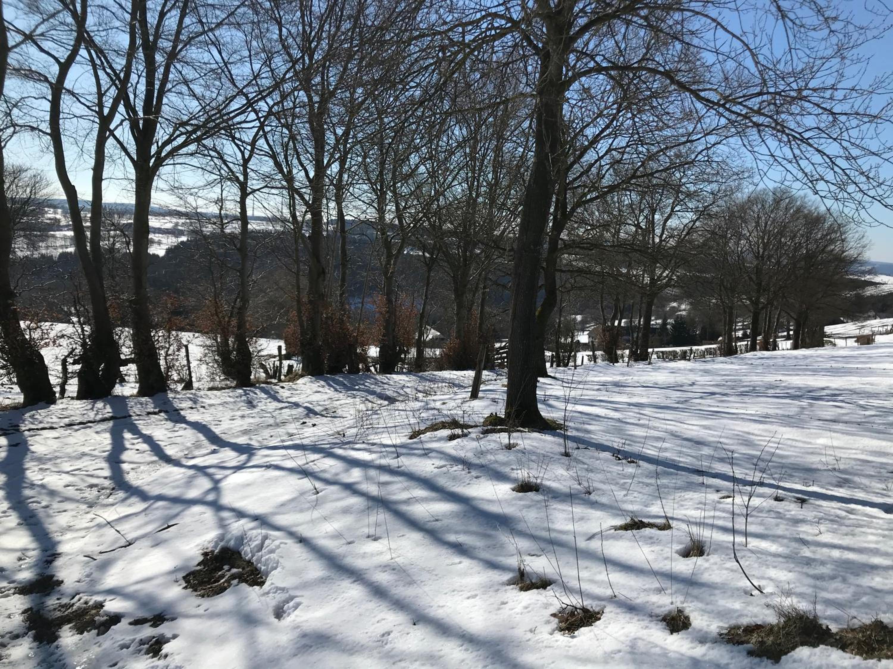 Vennhaus 33 pers