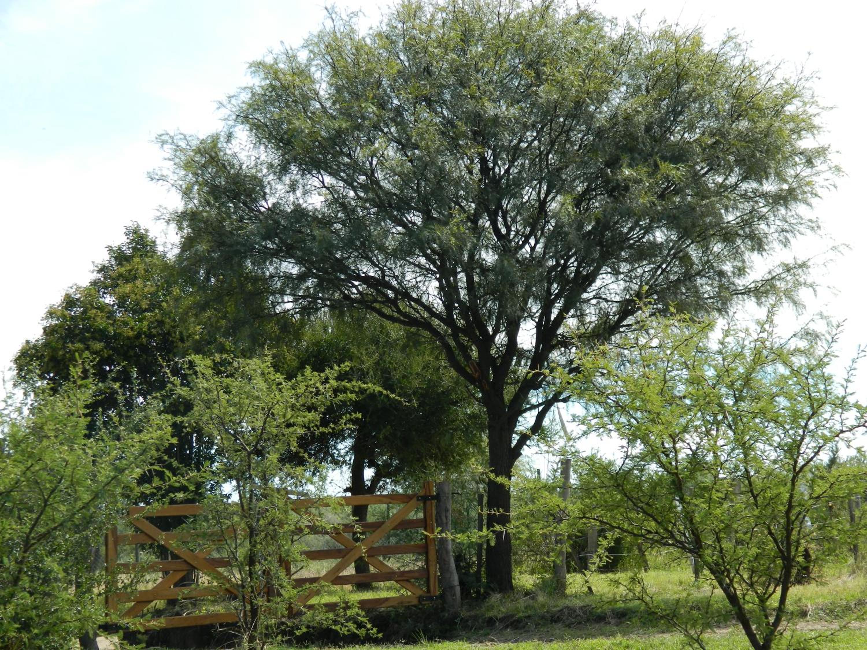 Cabaña Anita
