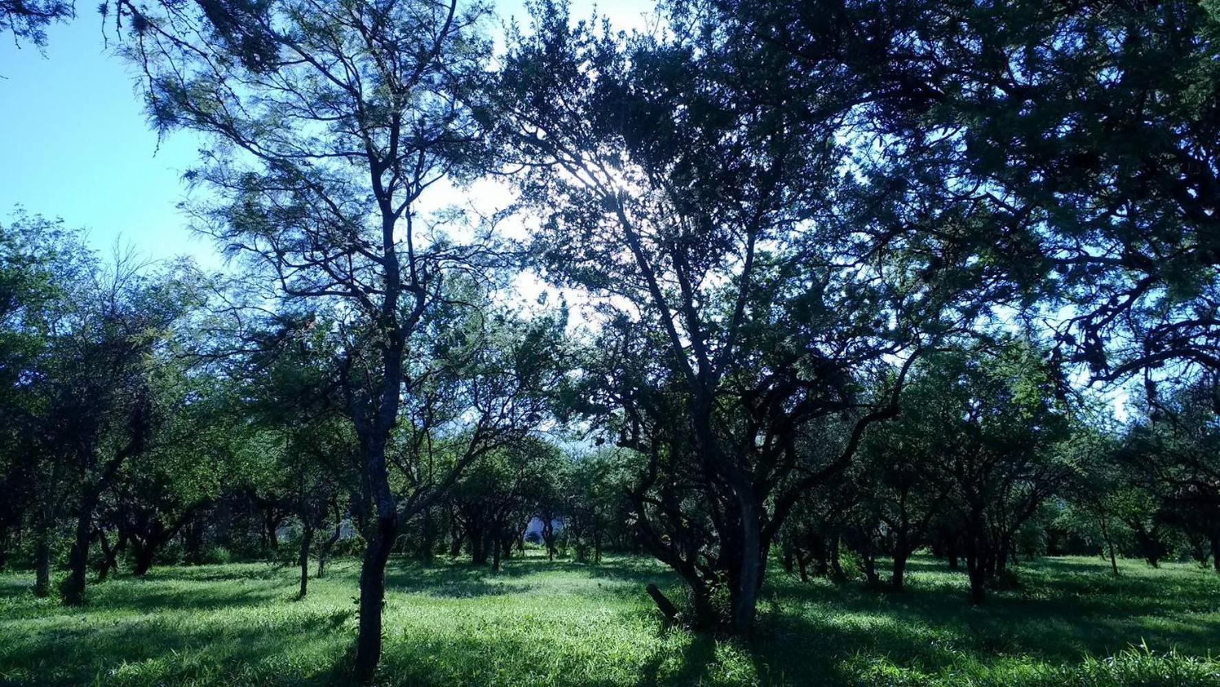 Cabaña Anita