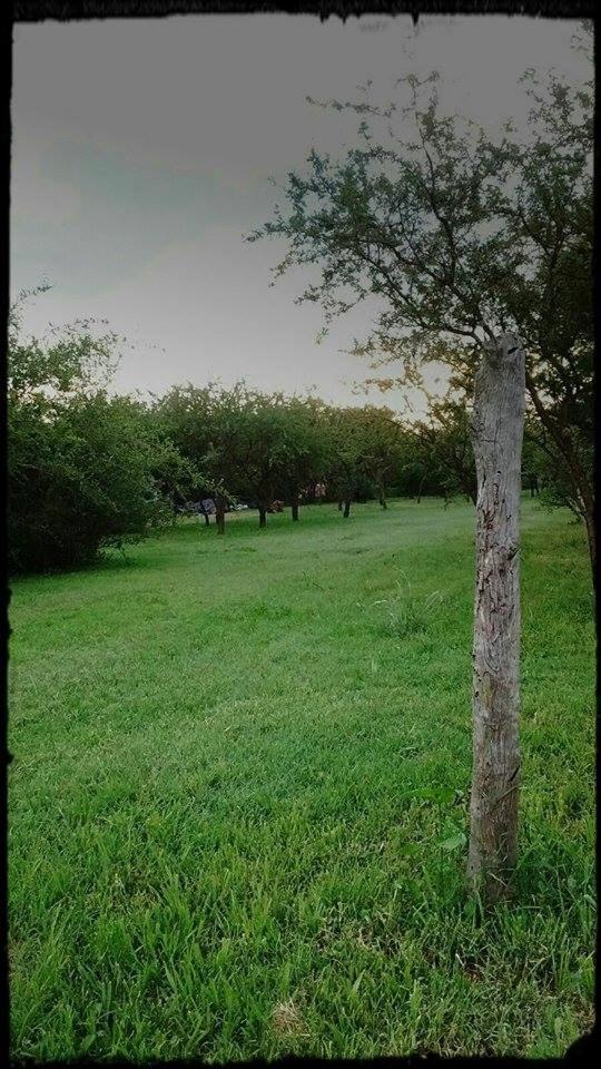 Cabaña Anita