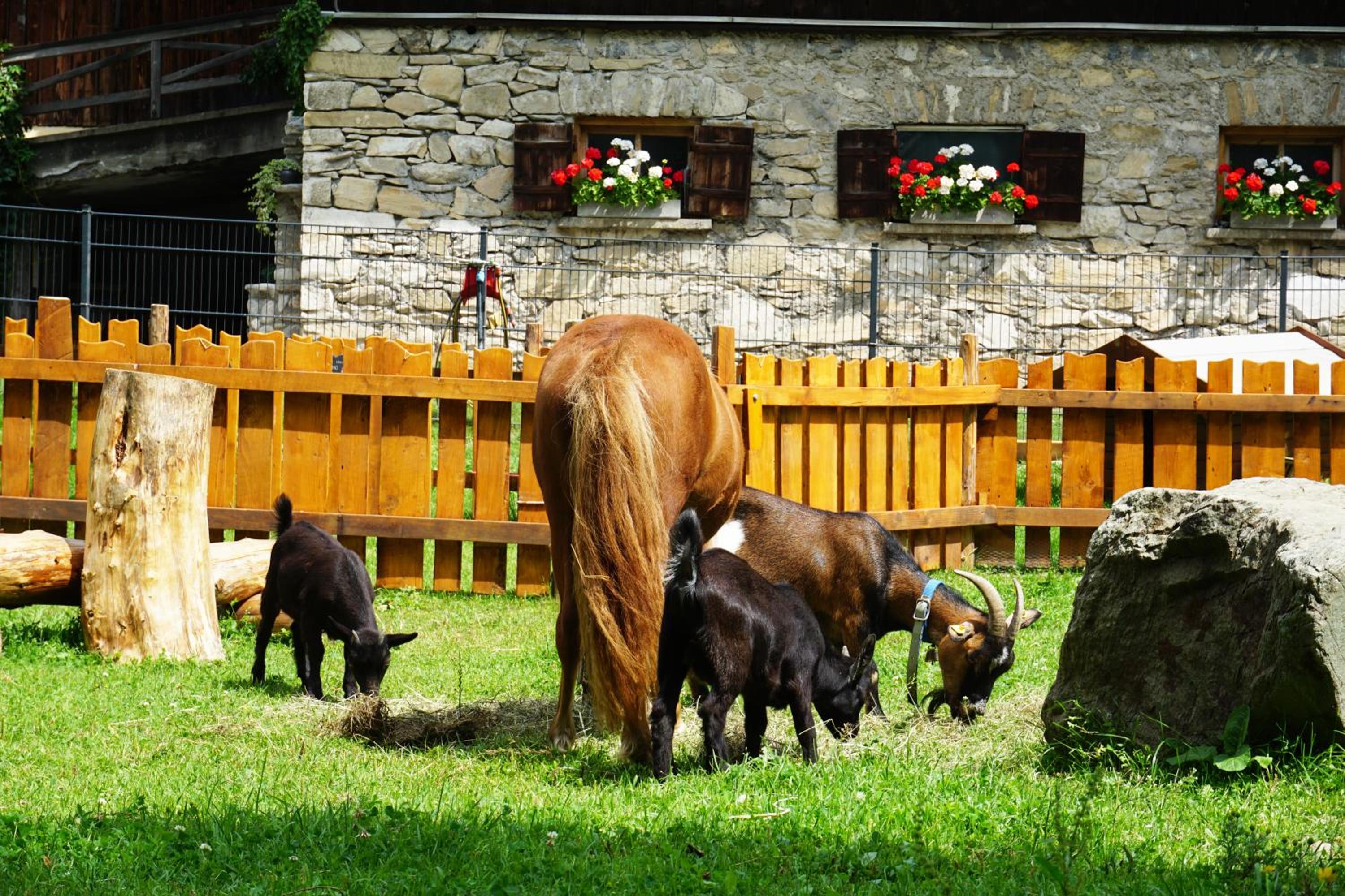 KENDLGUT Appartements am BioBauernhof inklusive unbegrenztem Eintritt in die Alpentherme