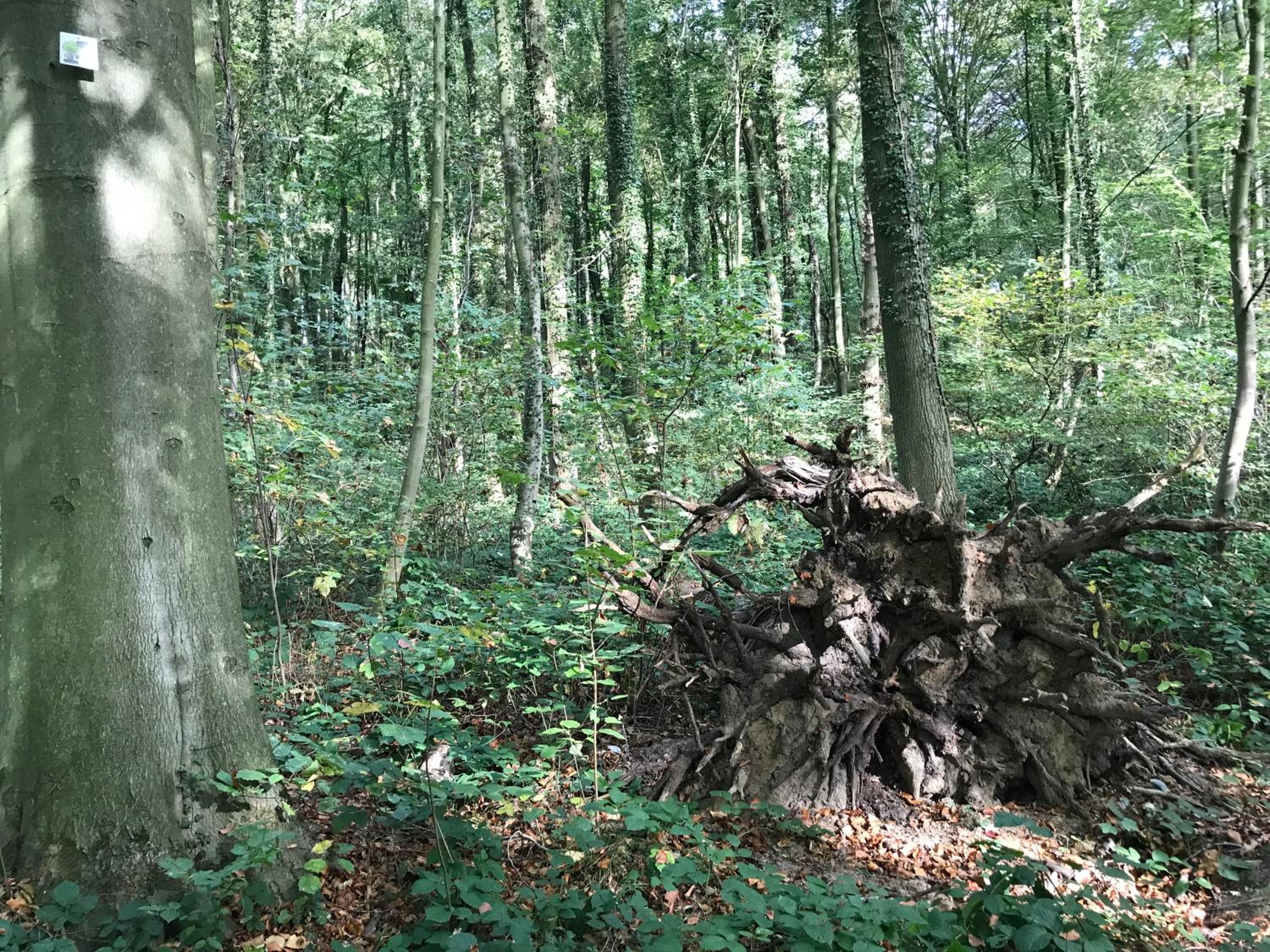 Vakantiewoning Leberg